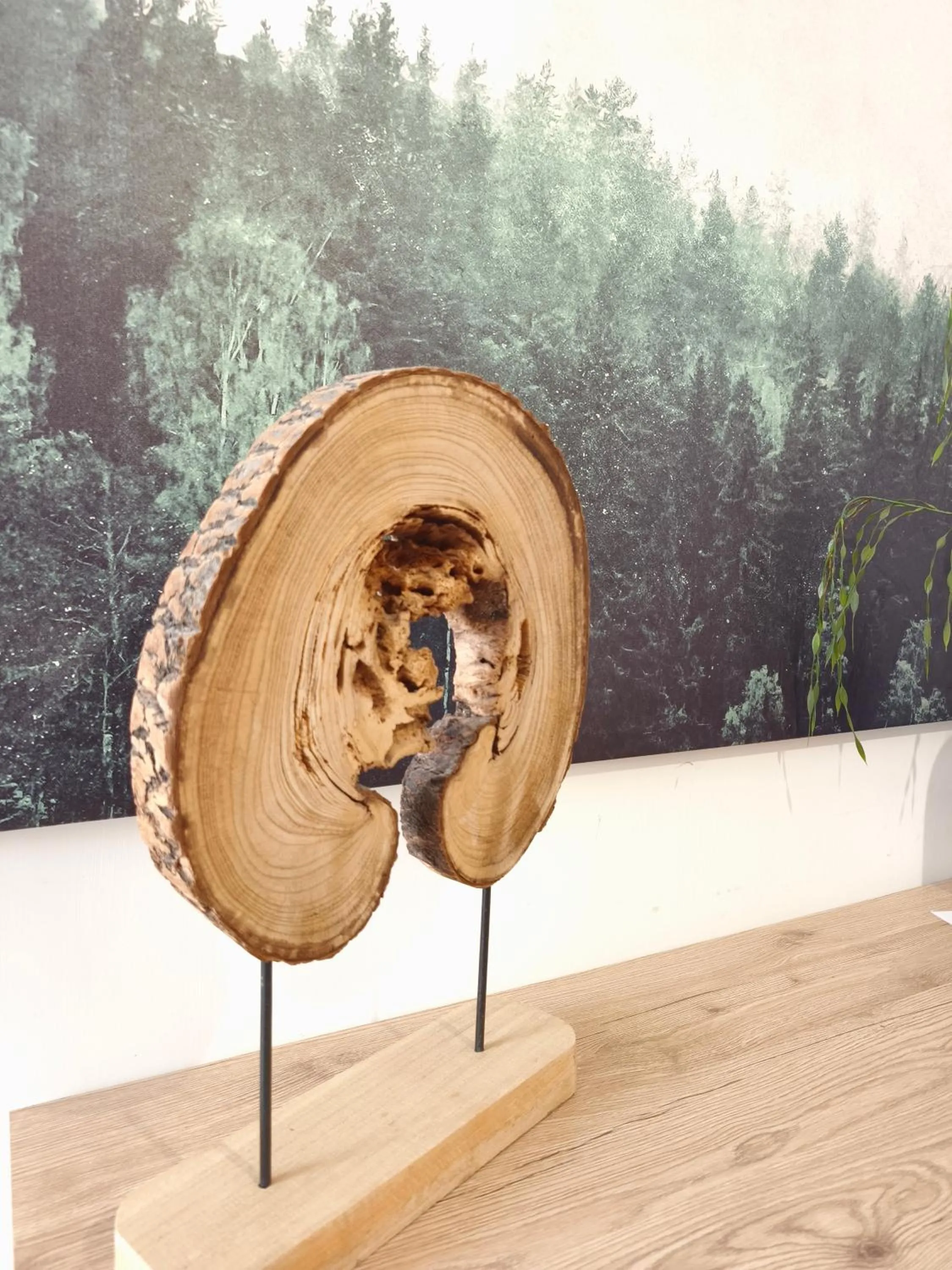 furniture in Villa Ettore