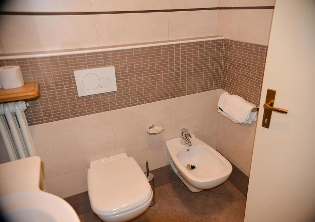 Shower in Hotel Regina Delle Dolomiti