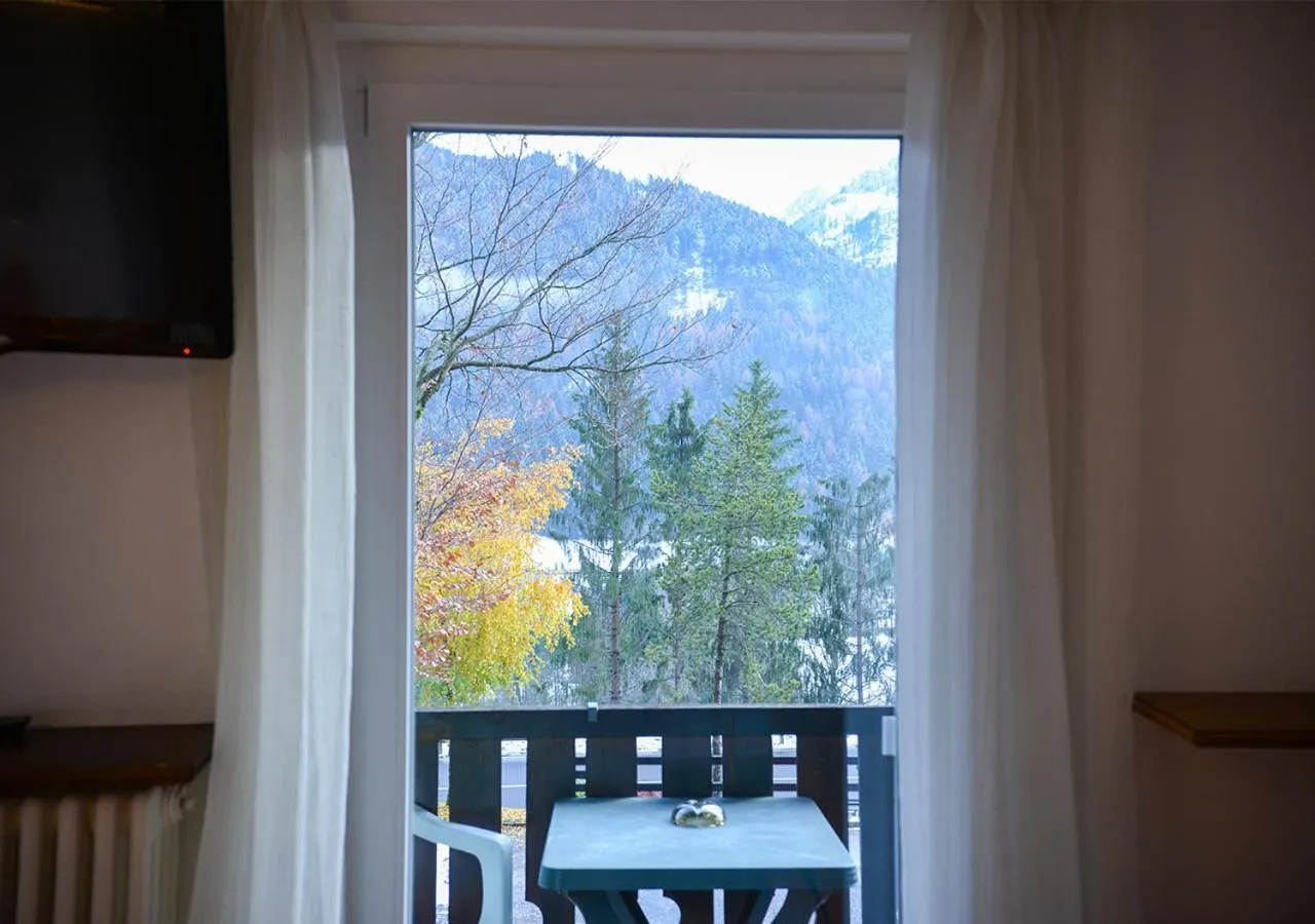 Balcony/Terrace in Hotel Regina Delle Dolomiti