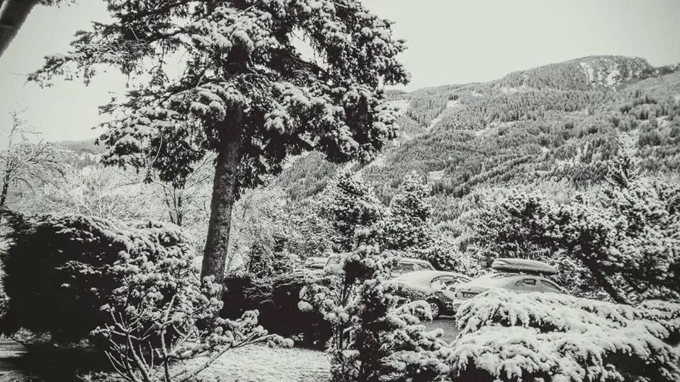 Facade/entrance in Hotel Regina Delle Dolomiti