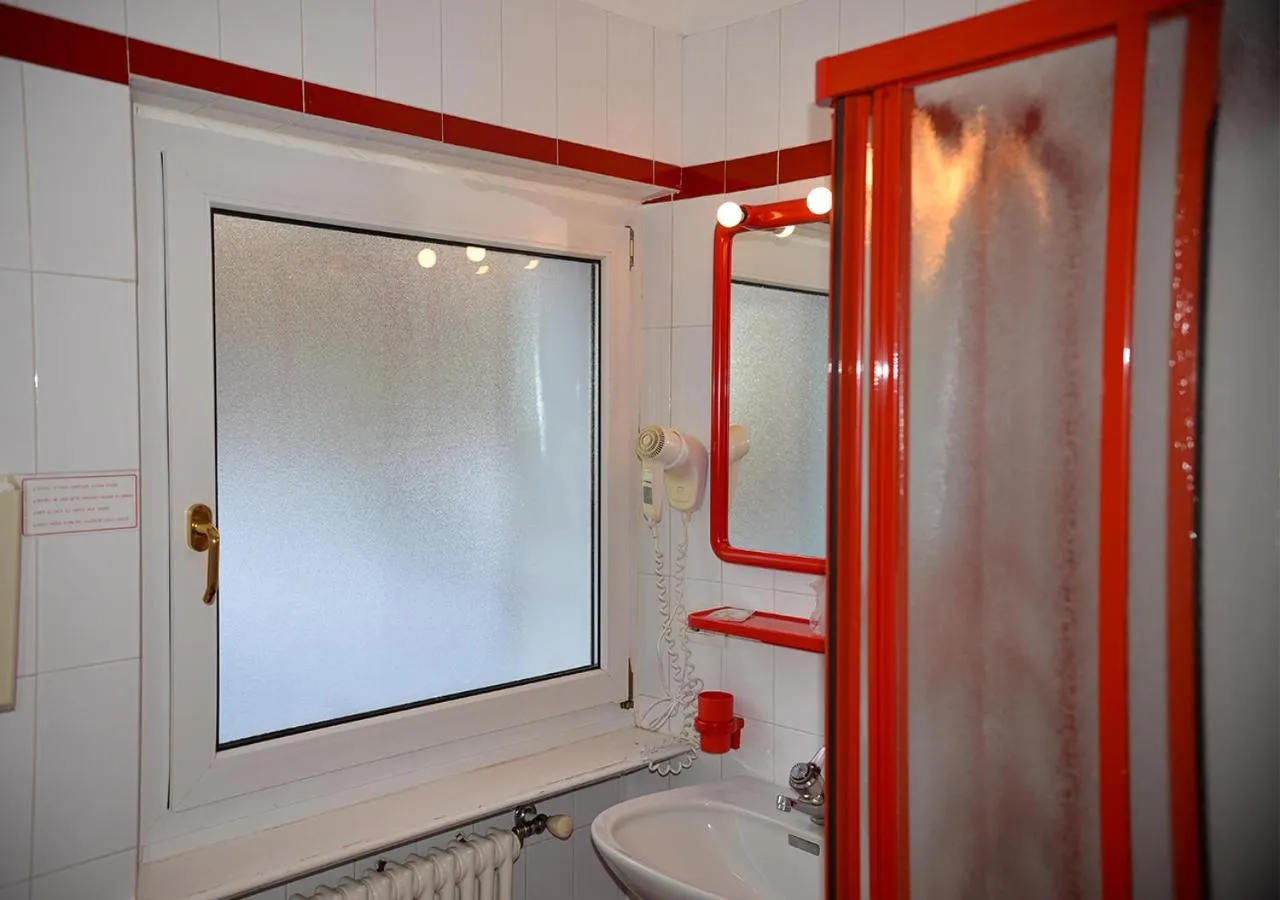 Shower in Hotel Regina Delle Dolomiti