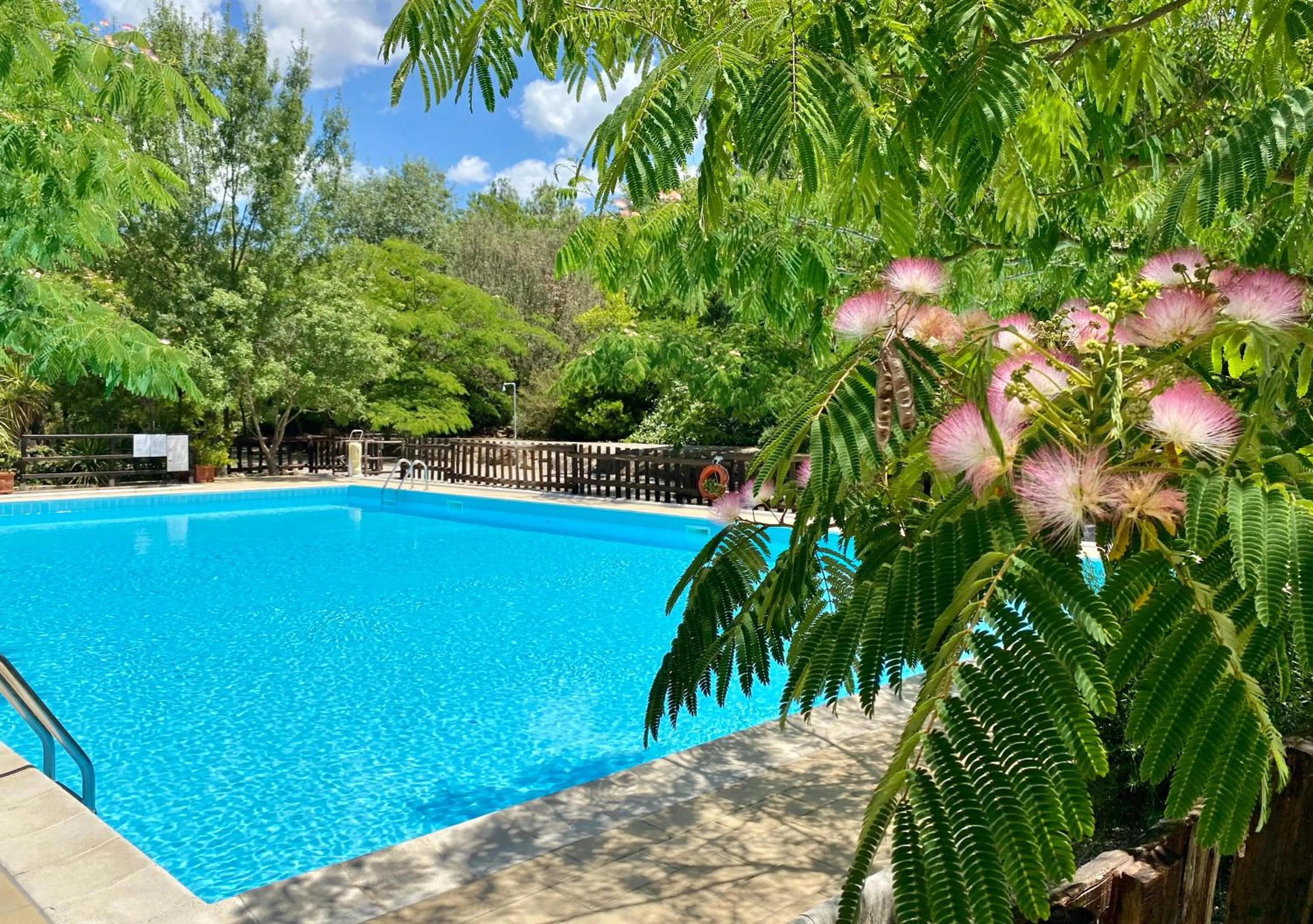 Pool view in Casale San Giovanni