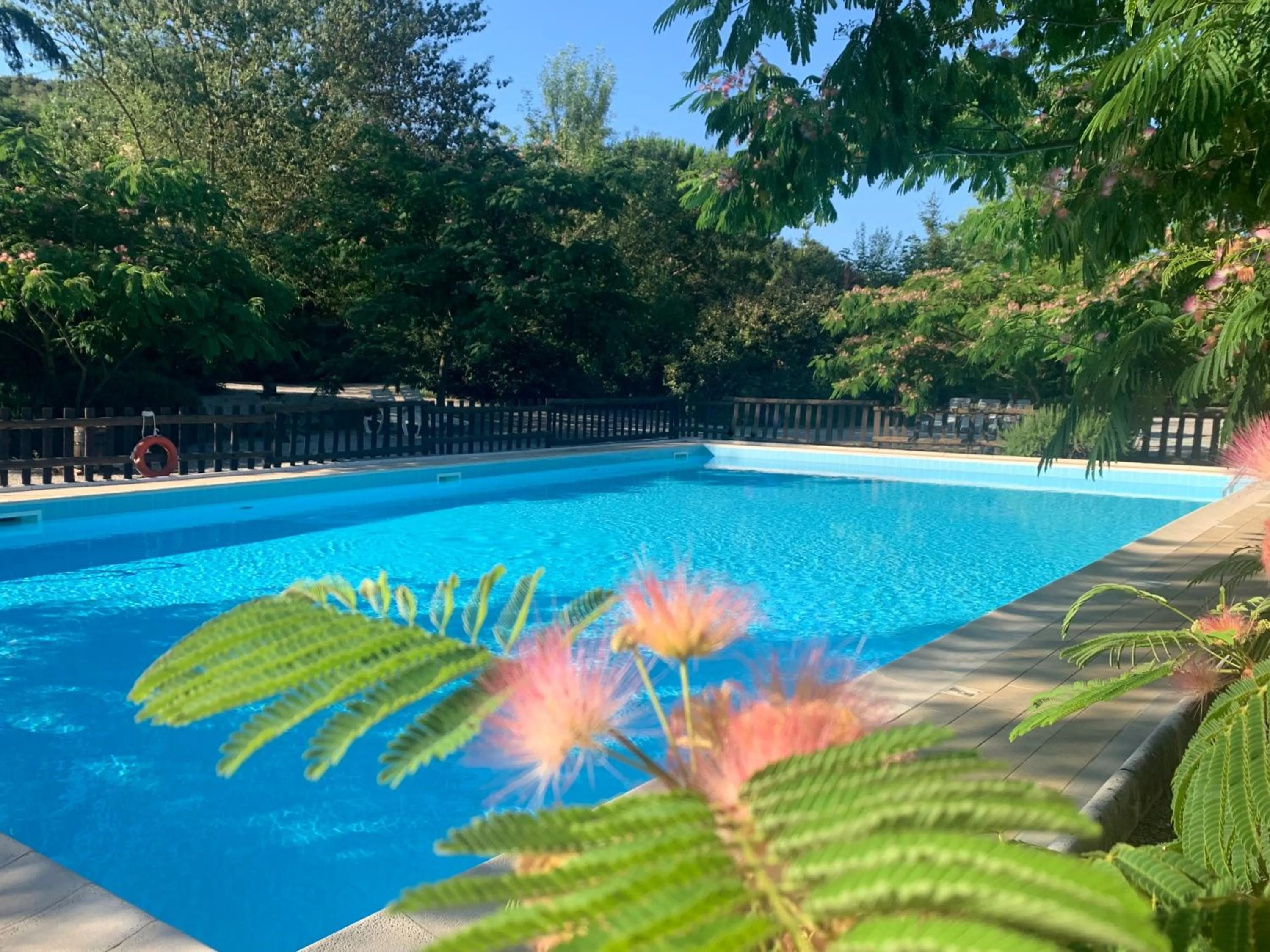Swimming pool in Casale San Giovanni