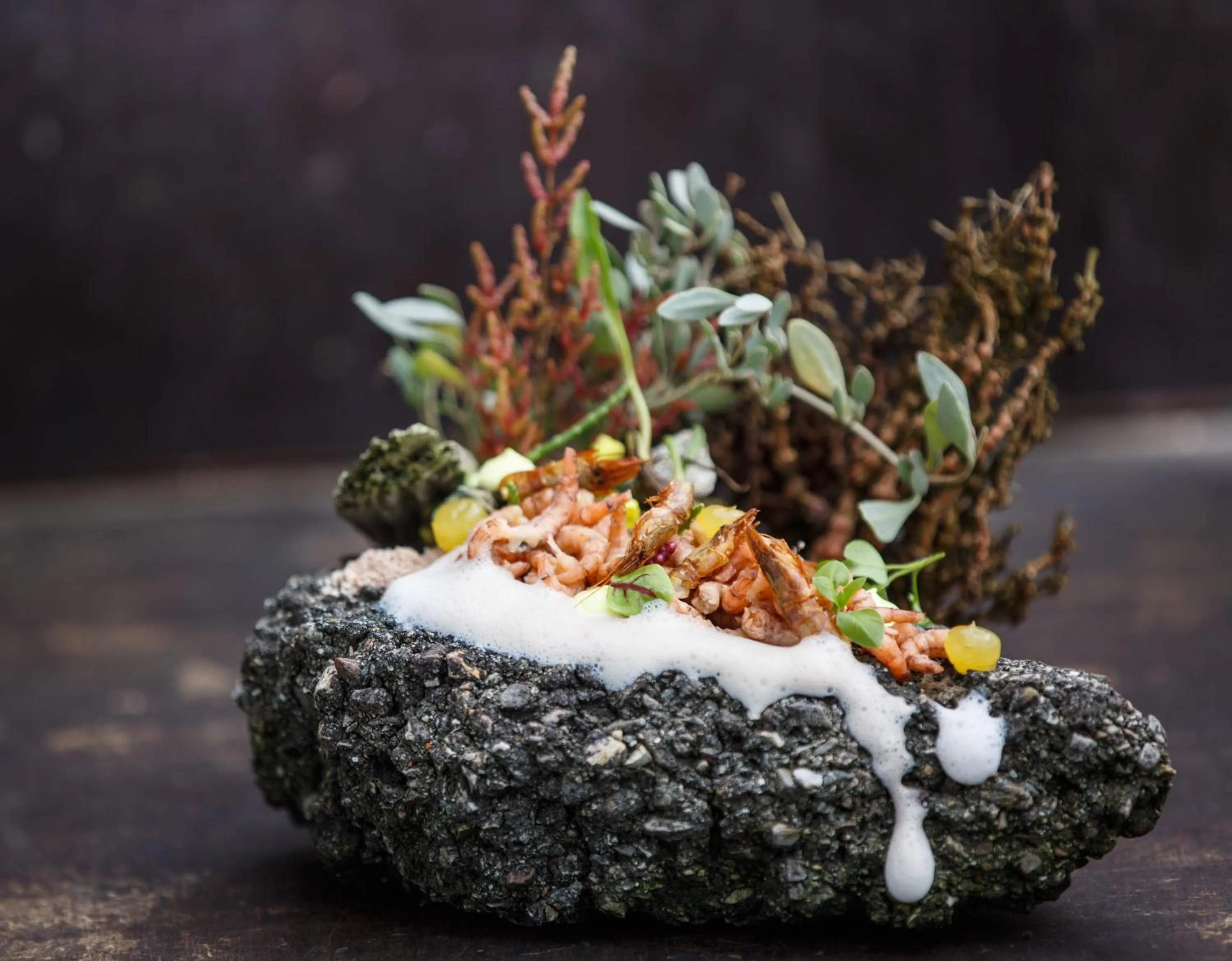 Food close-up in Hotel de Blanke Top