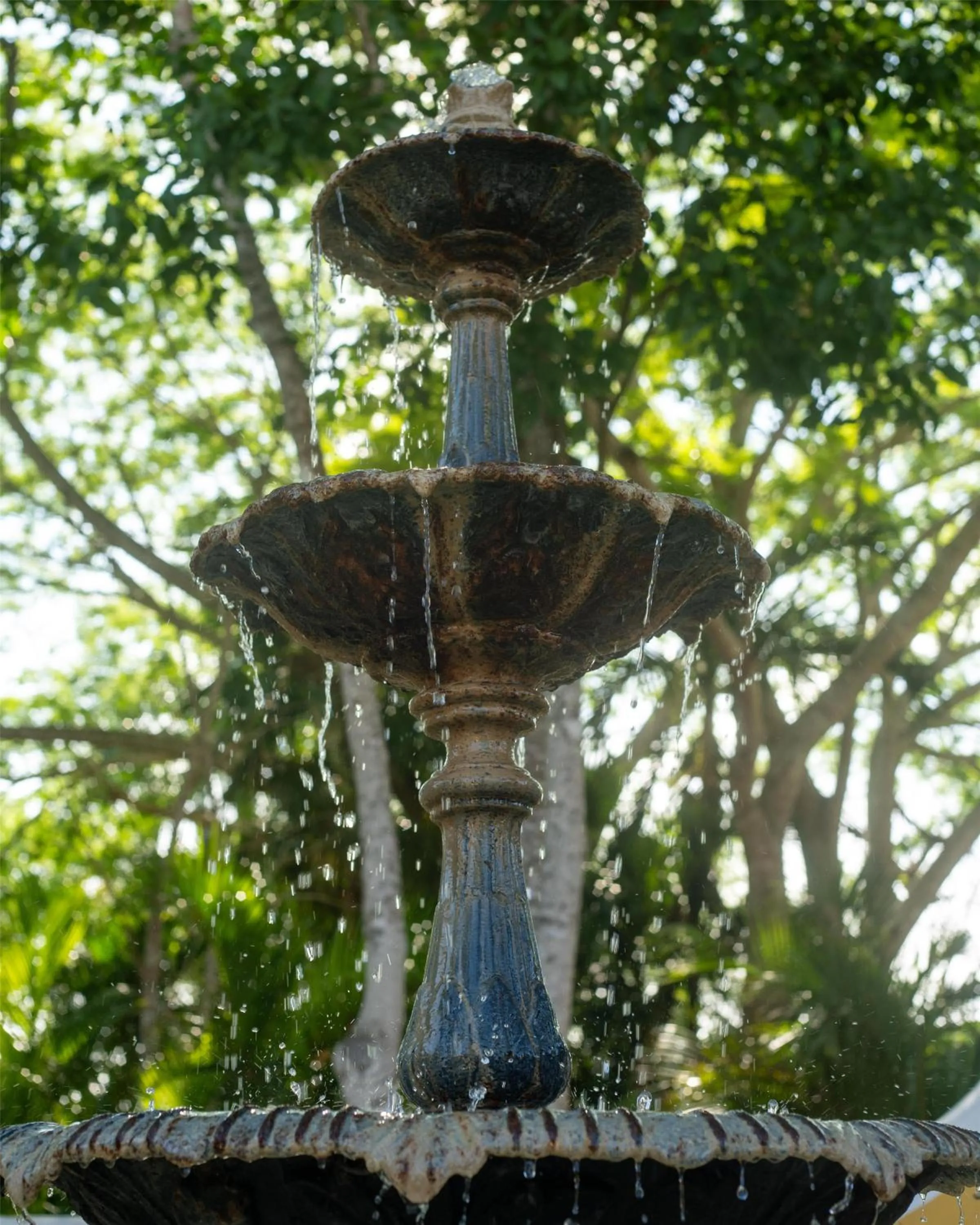 Garden view in Hacienda Xcanatun, Angsana Heritage Collection