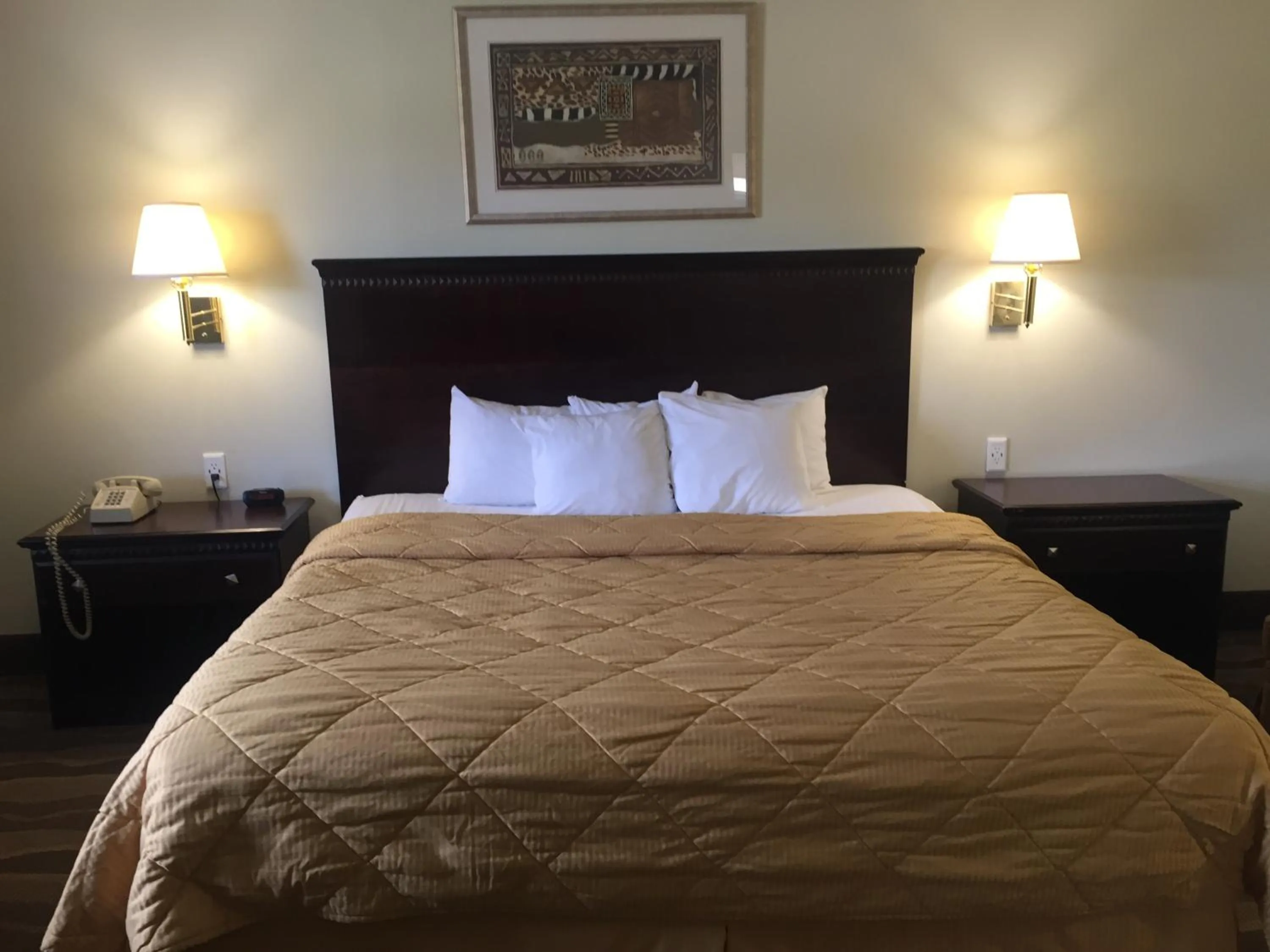 Bed in Budget Inn - Farmington