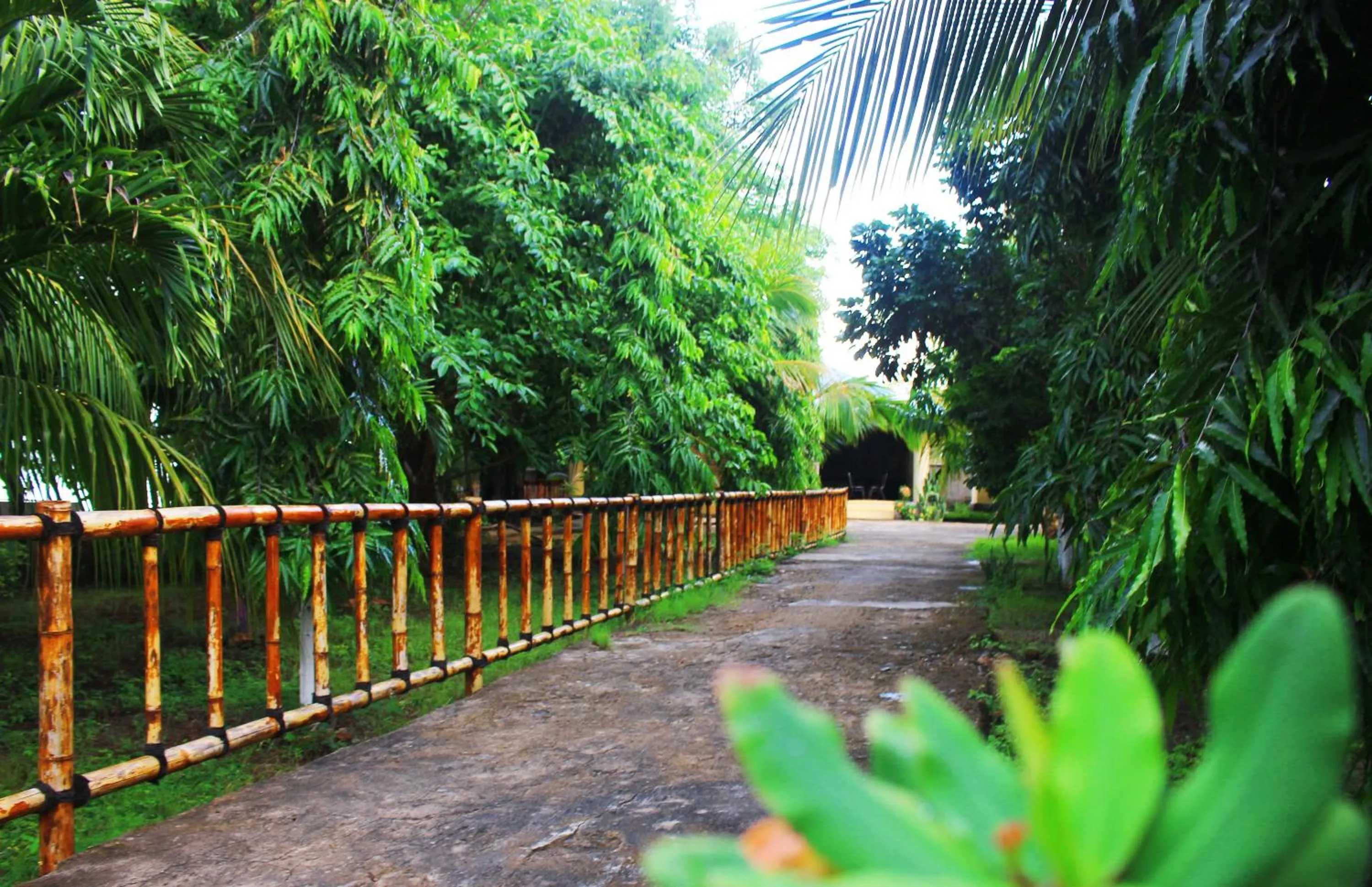 FX72 Beach Resort Maumere