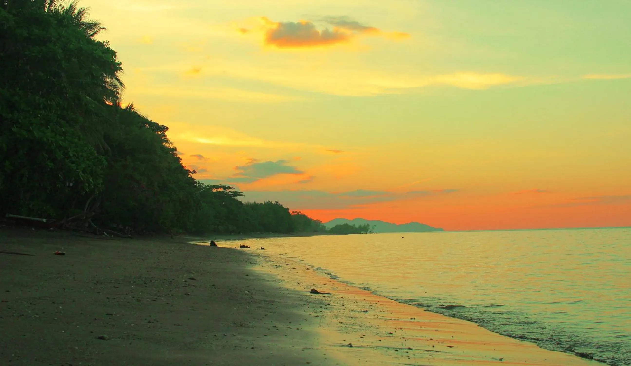 Beach in FX72 Beach Resort Maumere