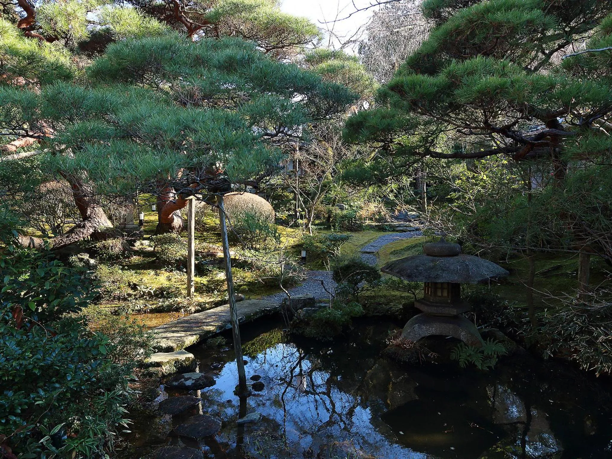 Garden in Nanzenji sando KIKUSUI