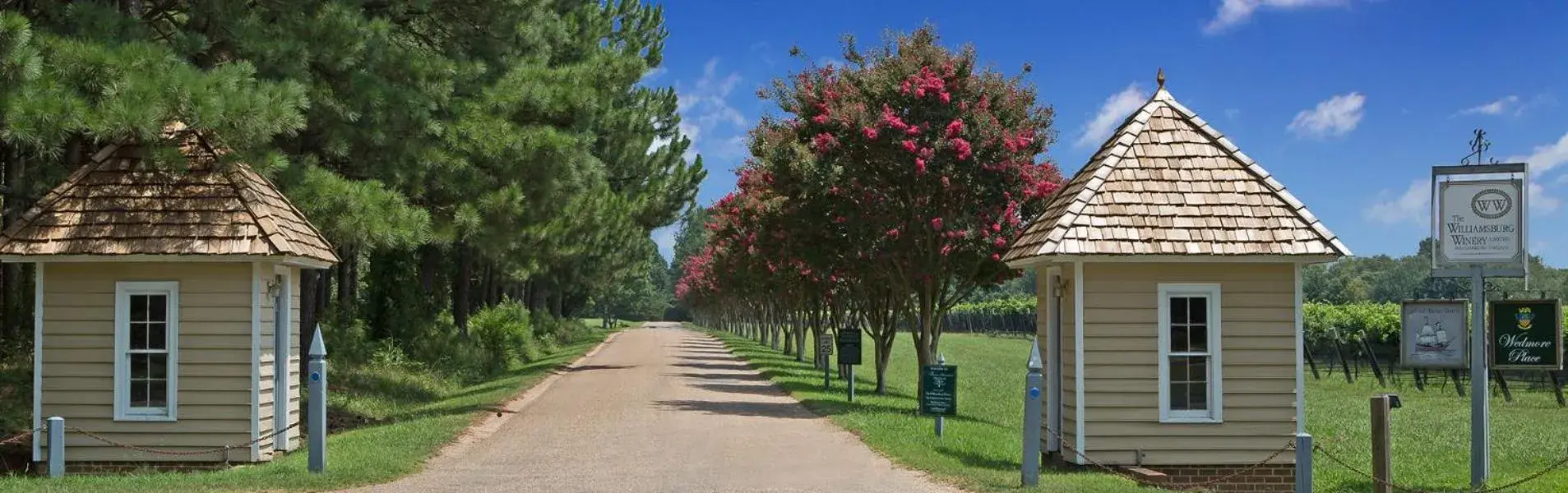 Facade/entrance in Wedmore Place Facade/entrance in Wedmore Place