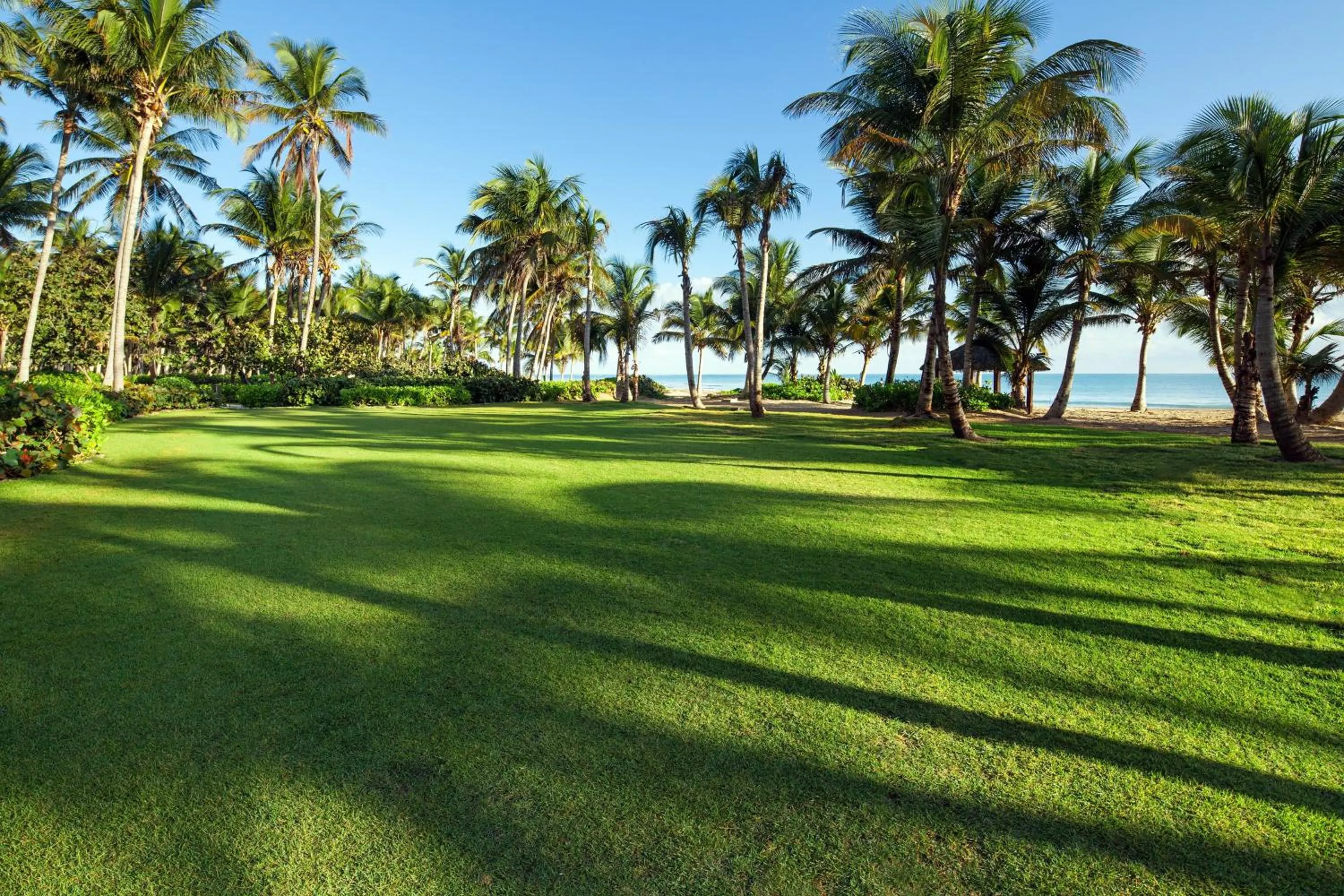Meeting/conference room in St. Regis Bahia Beach Resort, Puerto Rico