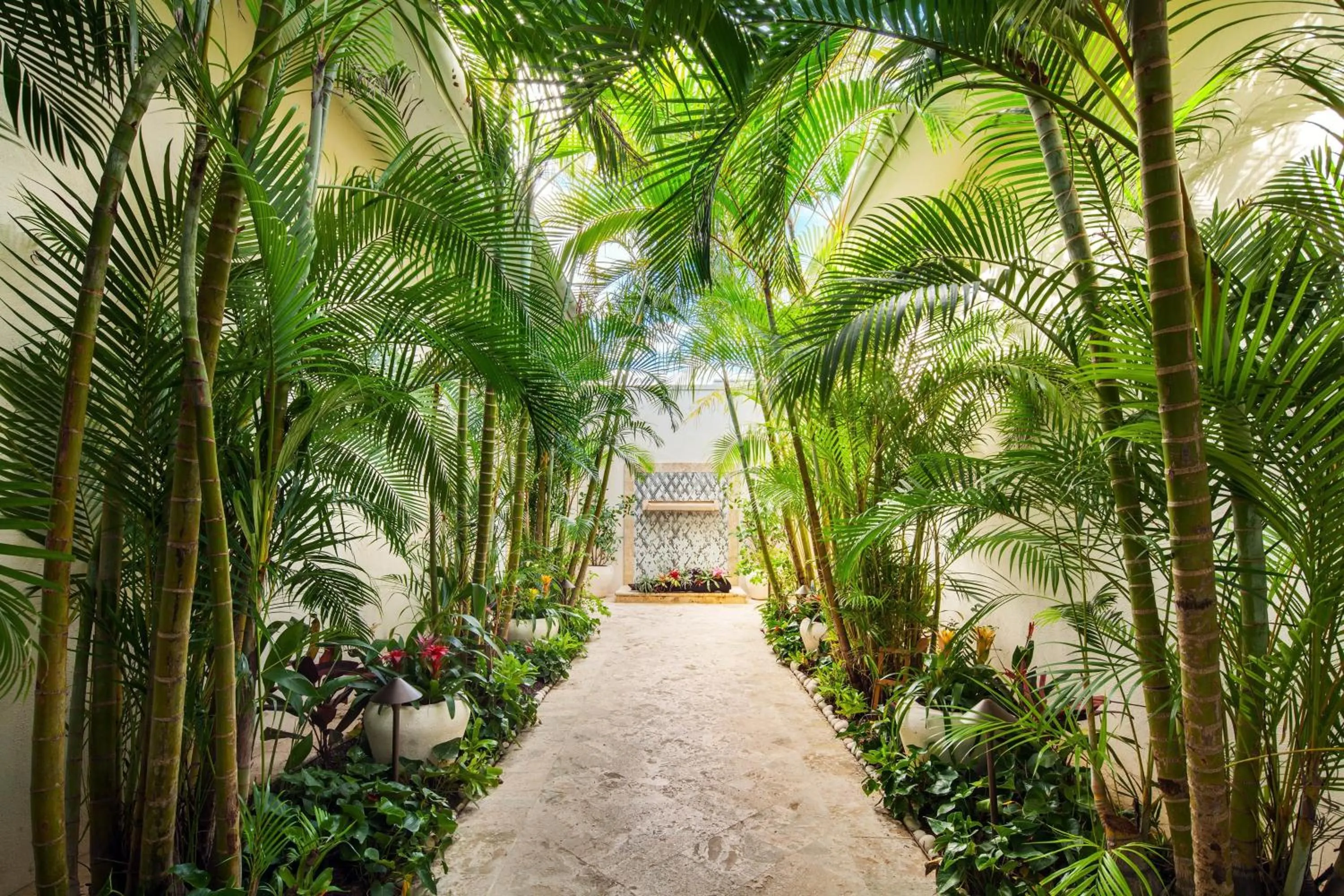 Spa and wellness centre/facilities in St. Regis Bahia Beach Resort, Puerto Rico