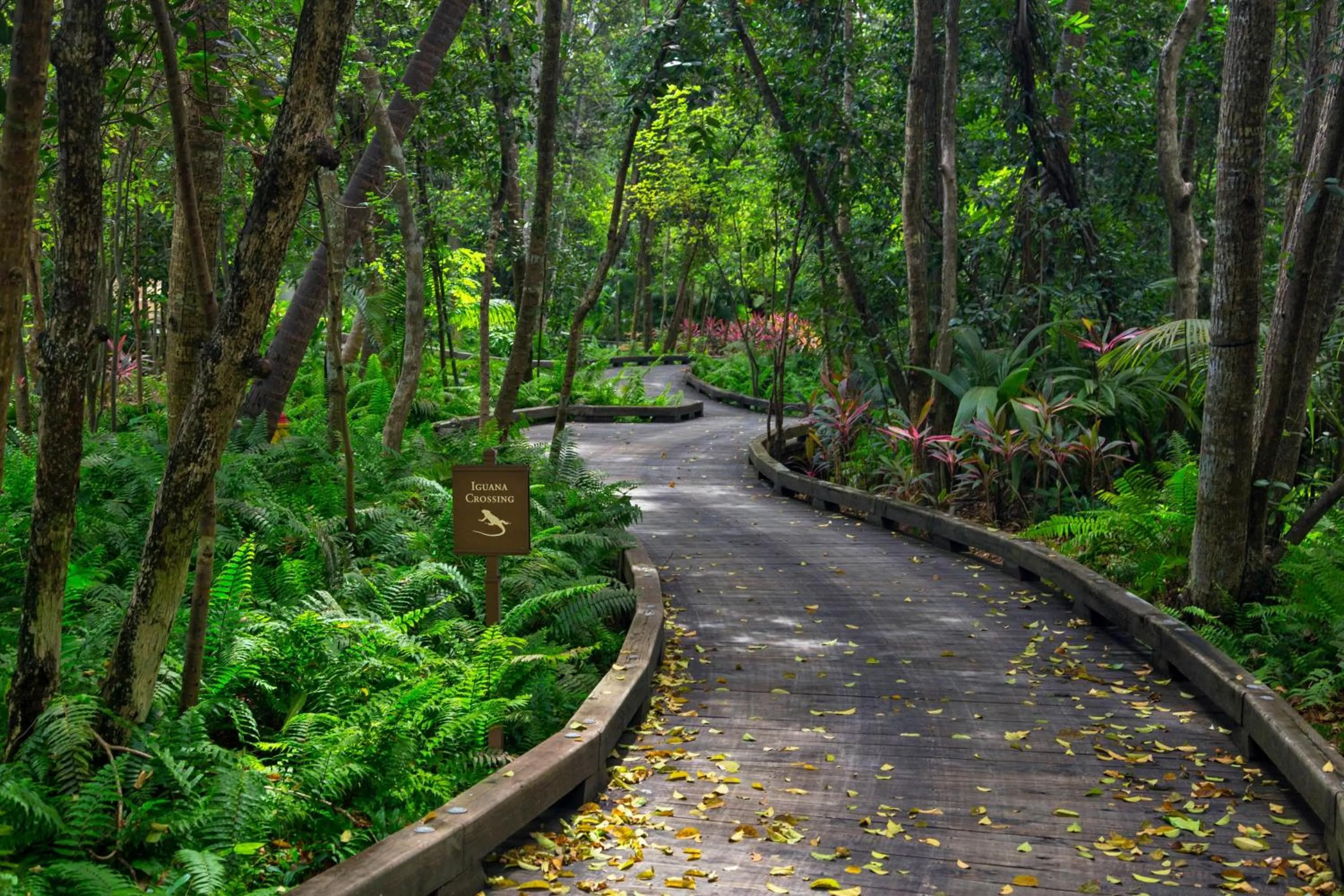 Other in St. Regis Bahia Beach Resort, Puerto Rico