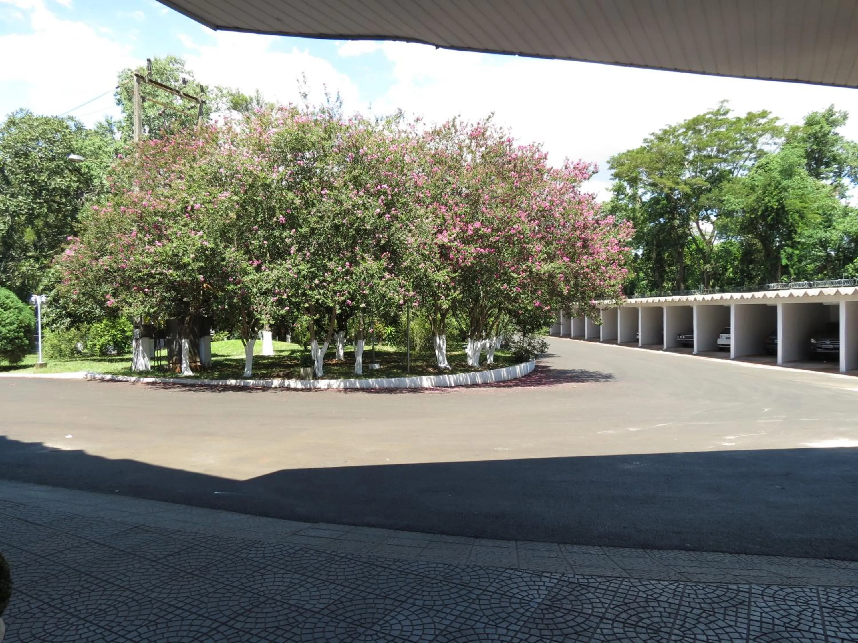 Garden in Hotel Monalisa