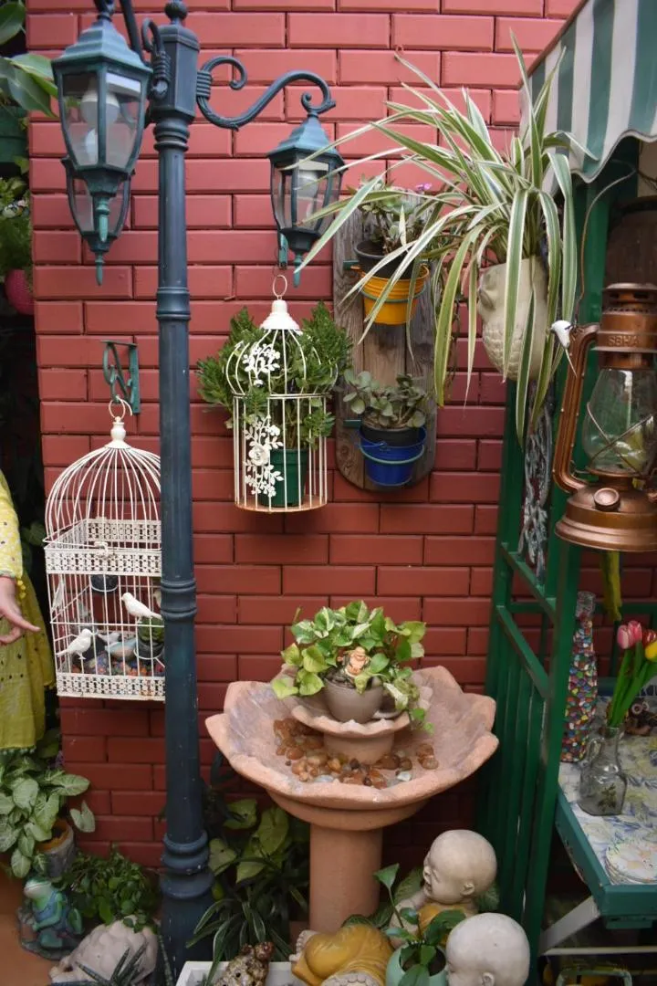 Garden in On The House - Bed and Breakfast