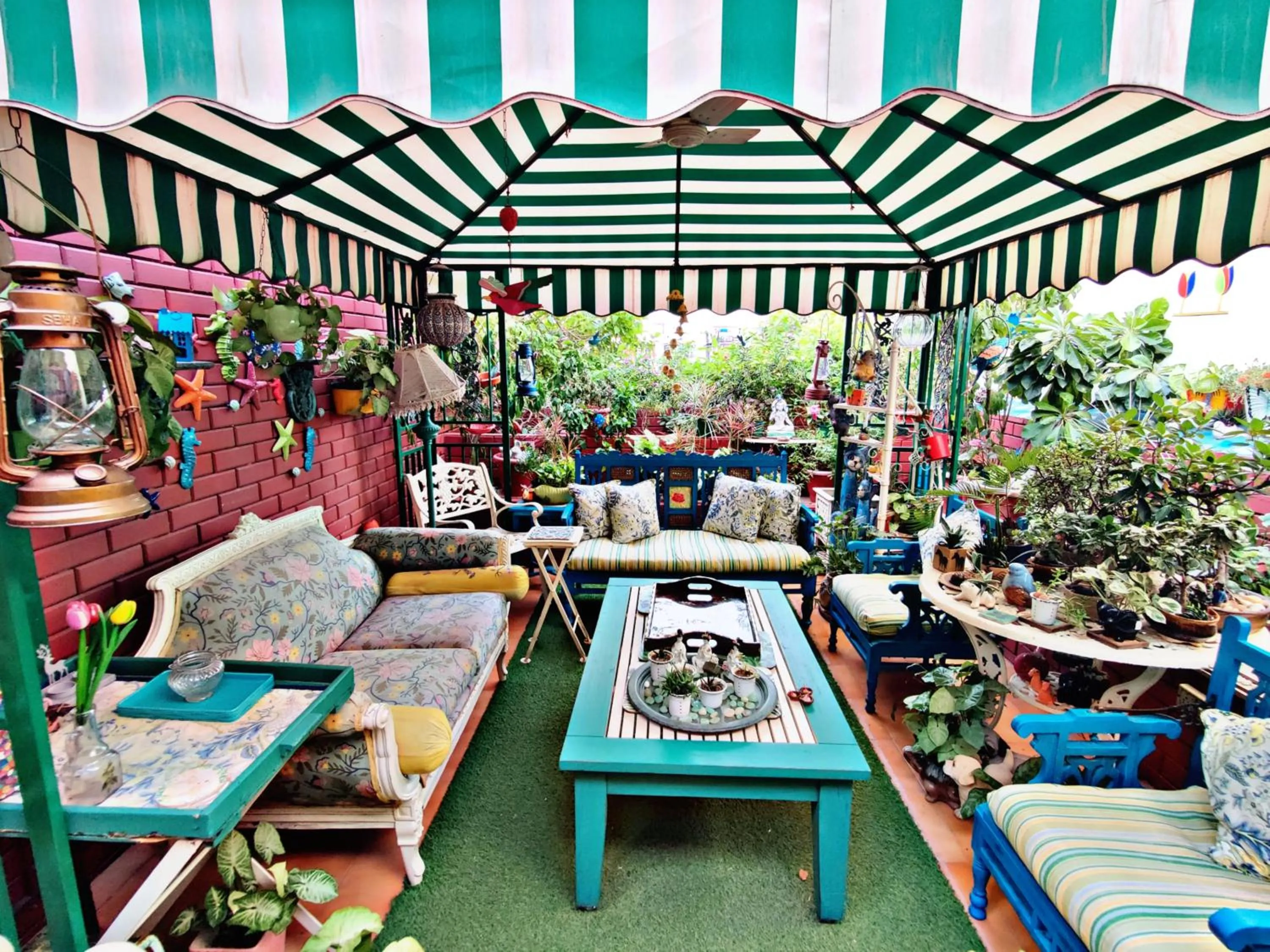 Garden in On The House - Bed and Breakfast