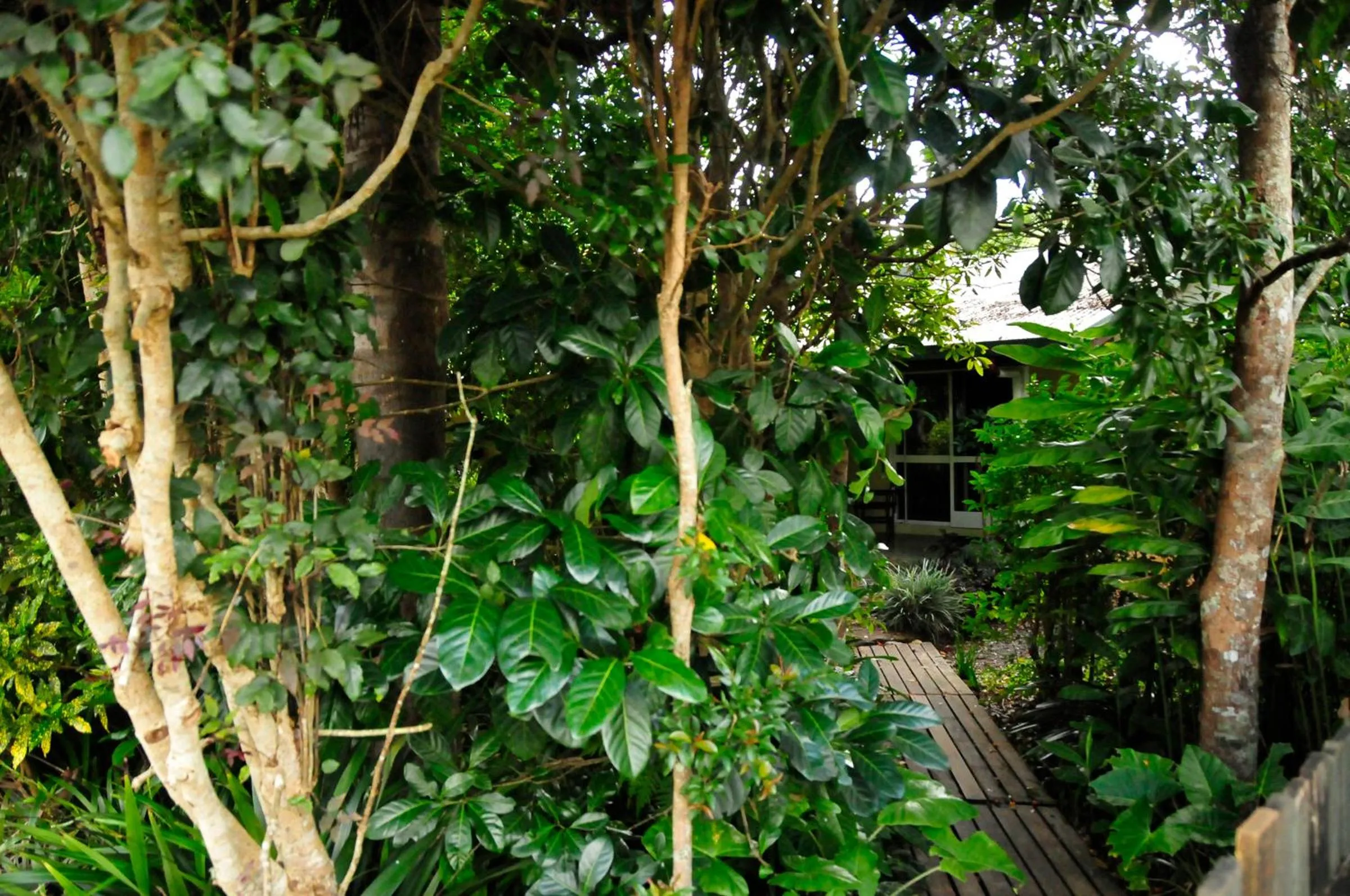 Facade/entrance in Kookaburra Motel Yungaburra