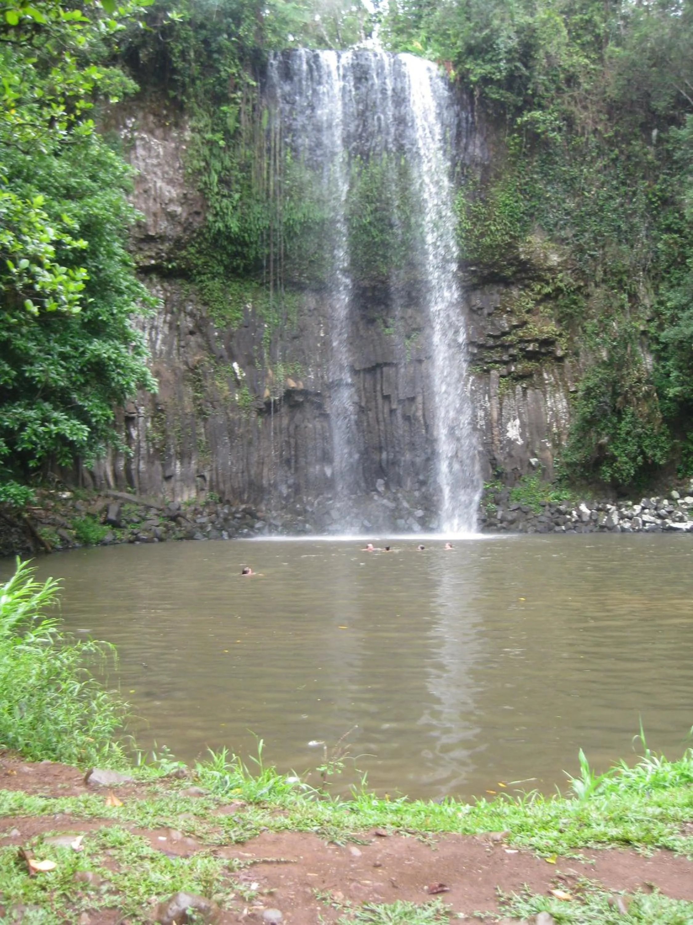 Nearby landmark in Kookaburra Motel Yungaburra