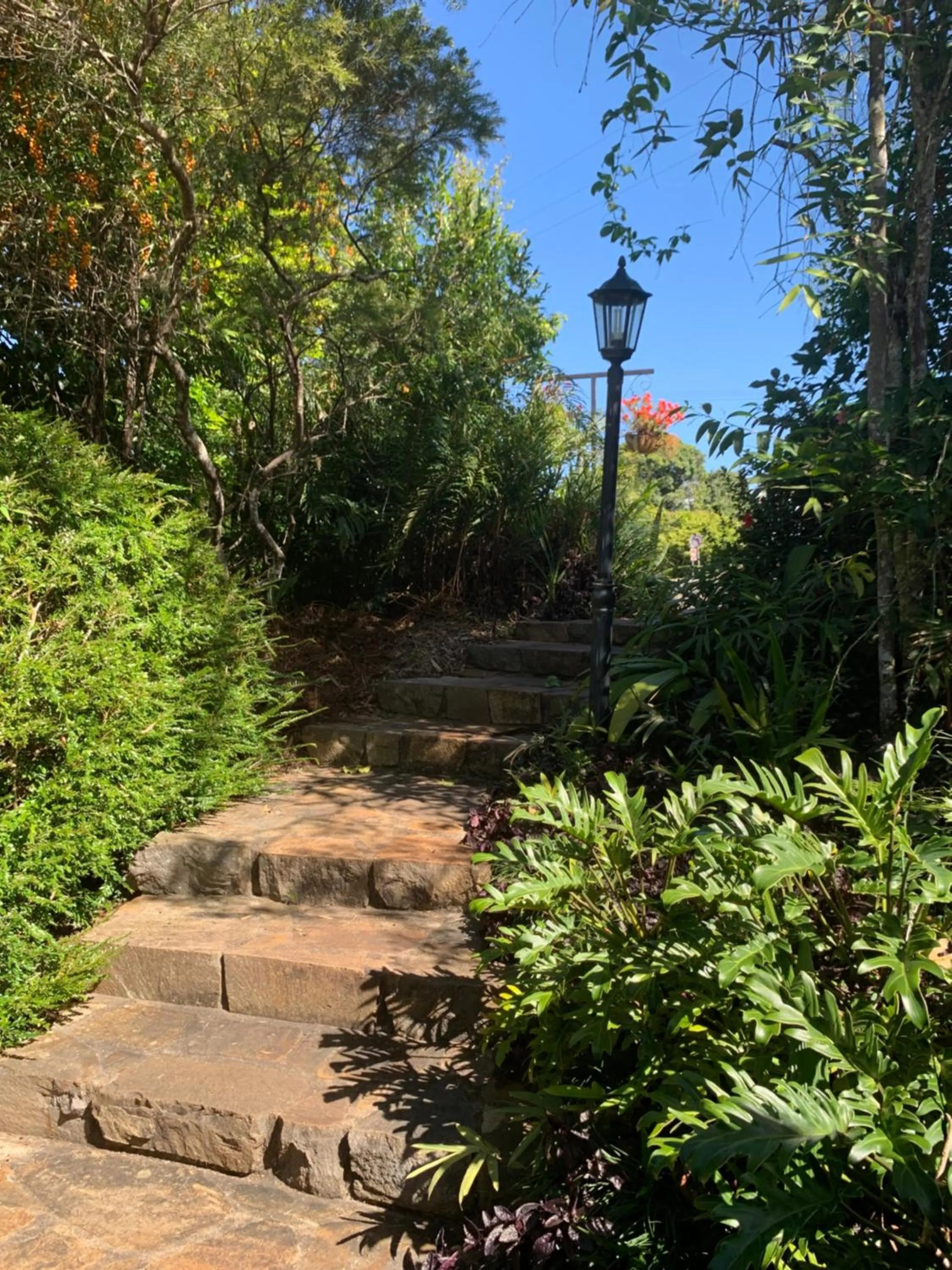 Garden in Kookaburra Motel Yungaburra
