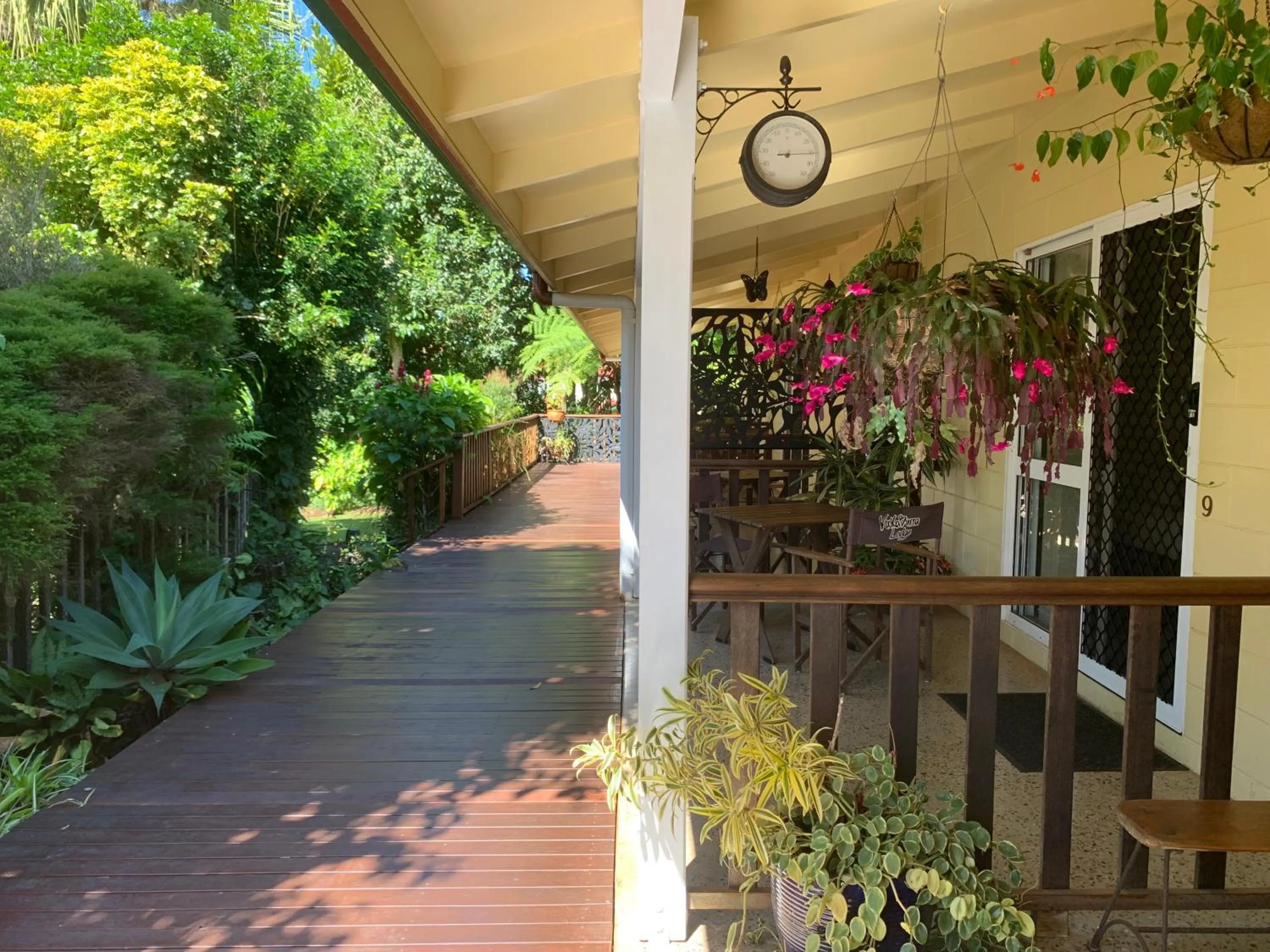 Garden in Kookaburra Motel Yungaburra