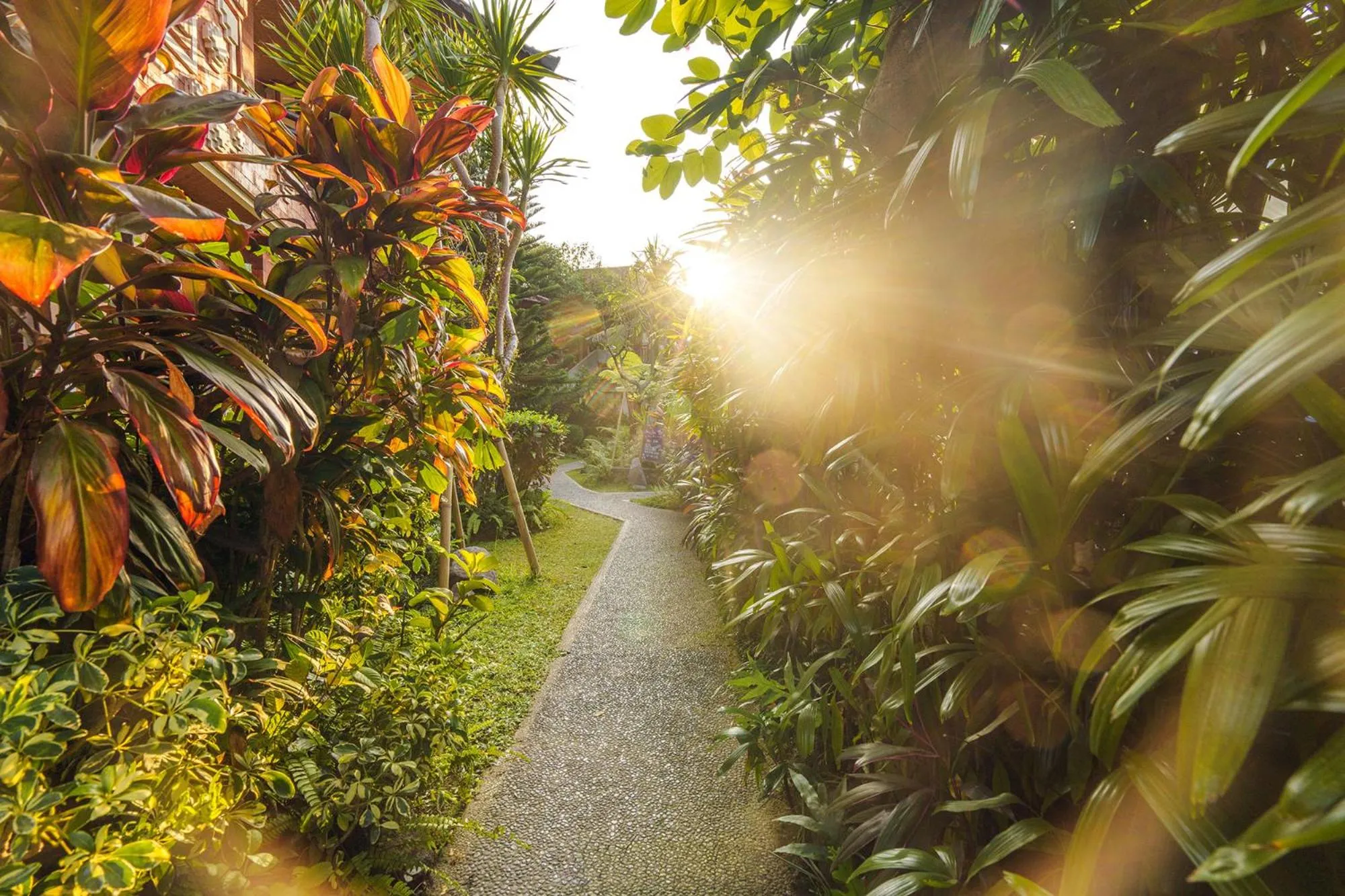 Natural landscape in Rama Phala Resort & Spa