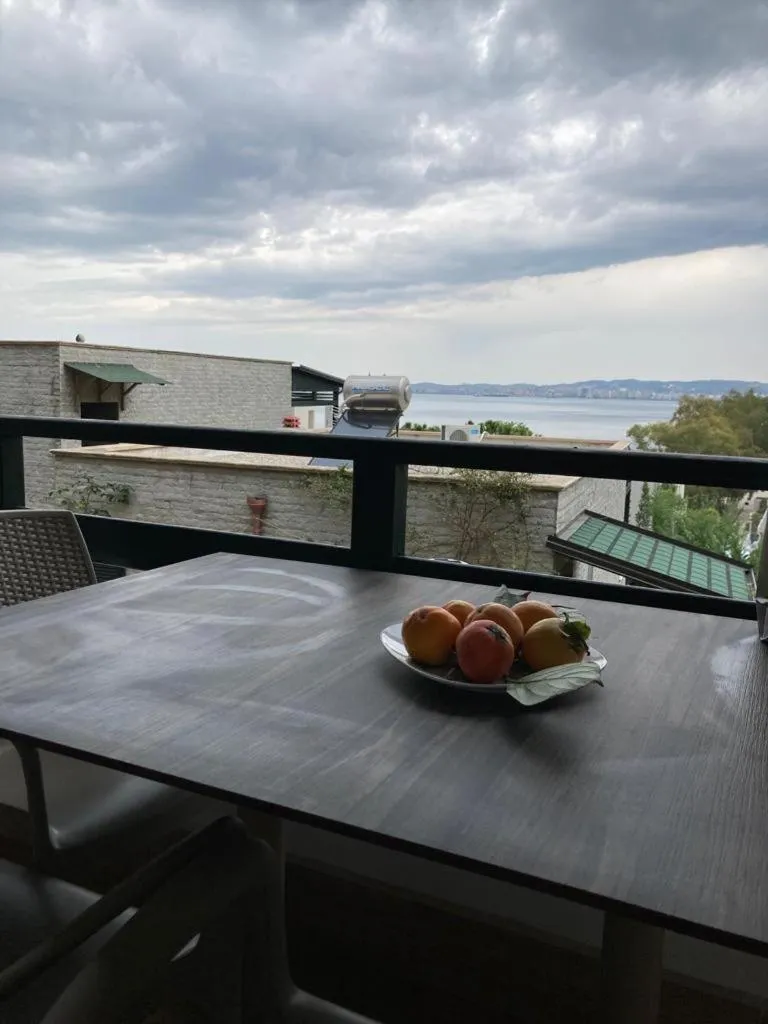 Aldi`s Guest House