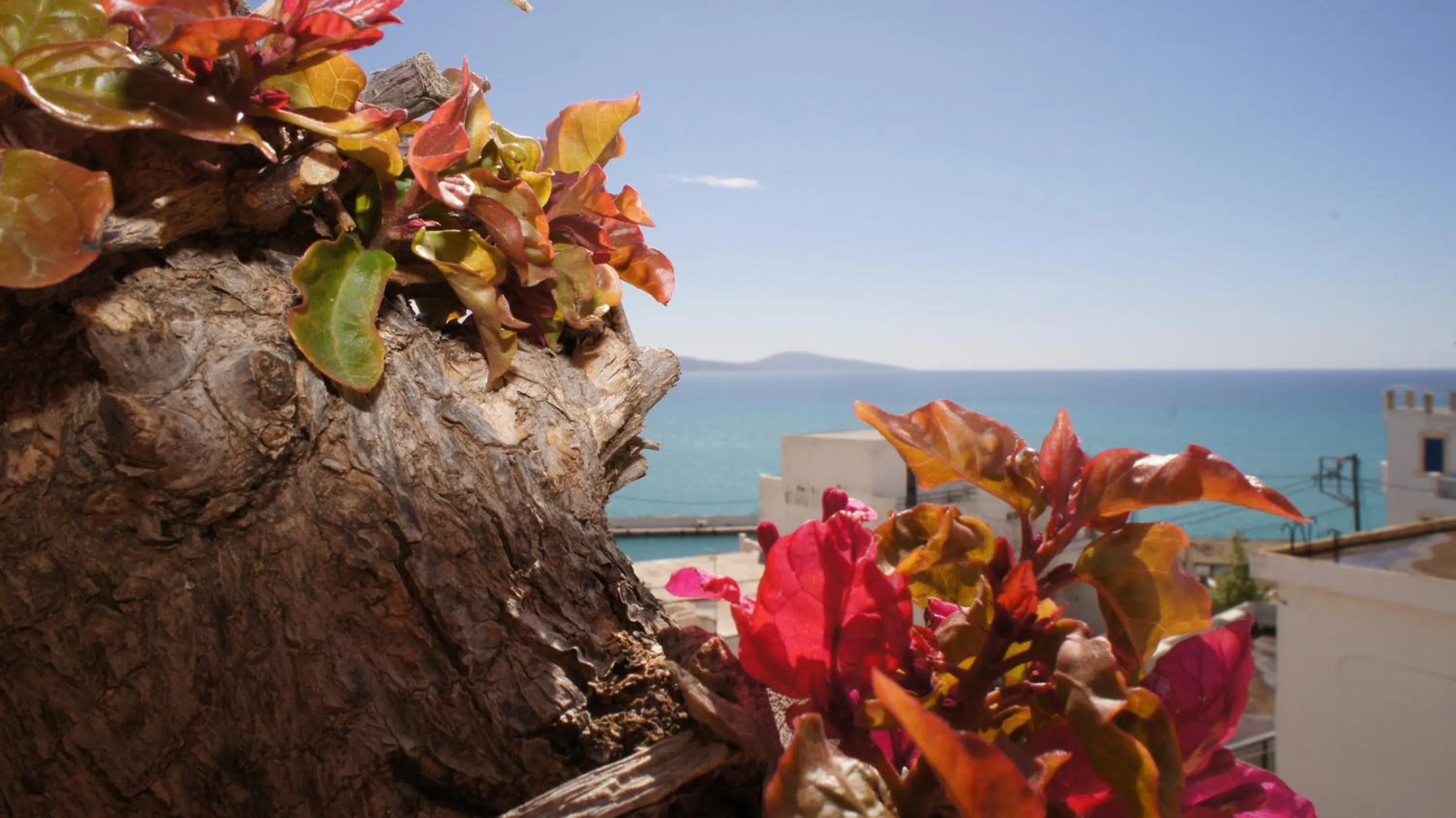 View (from property/room) in Idi