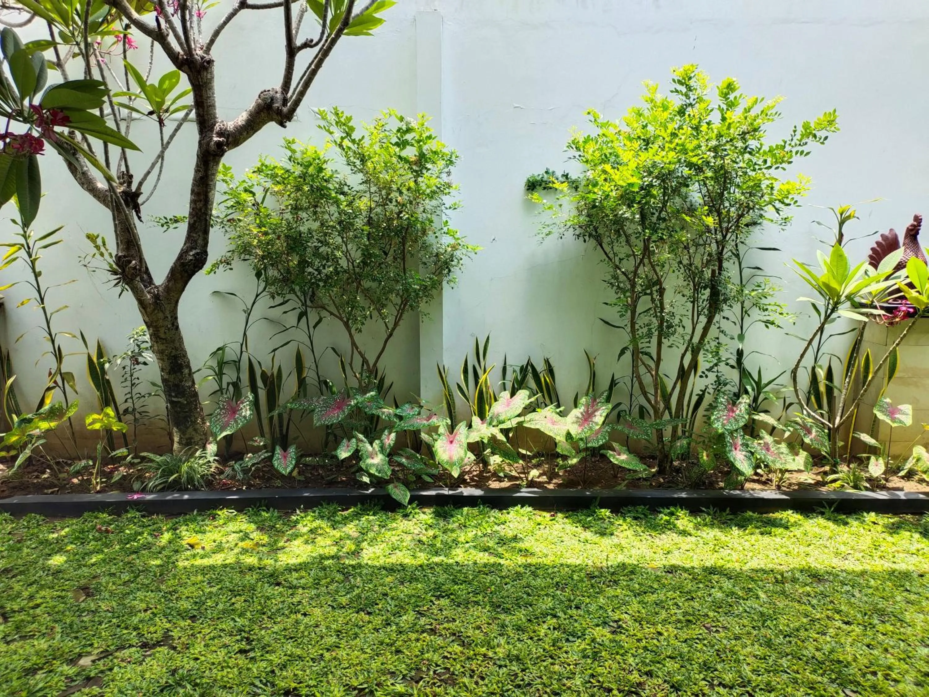 Garden in Griya Asih