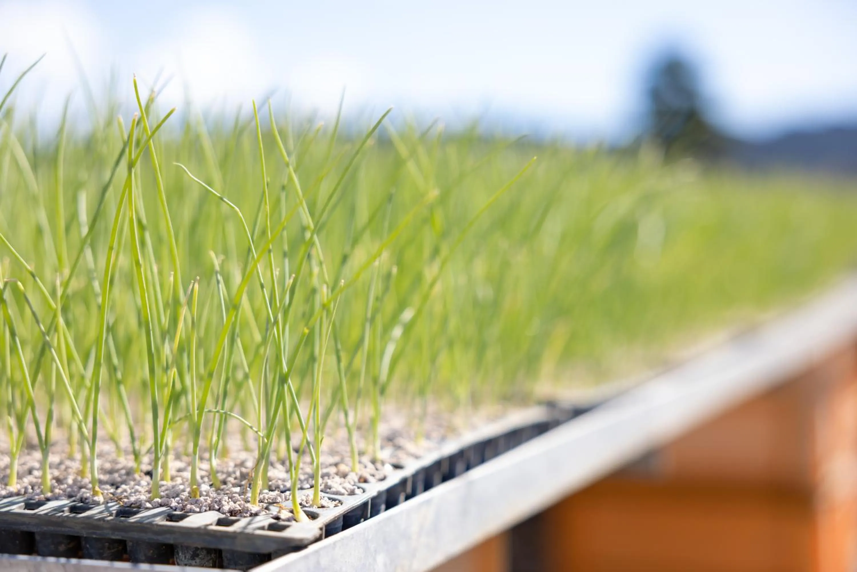 Other in Hotel Taiyo Nouen Furumitsu