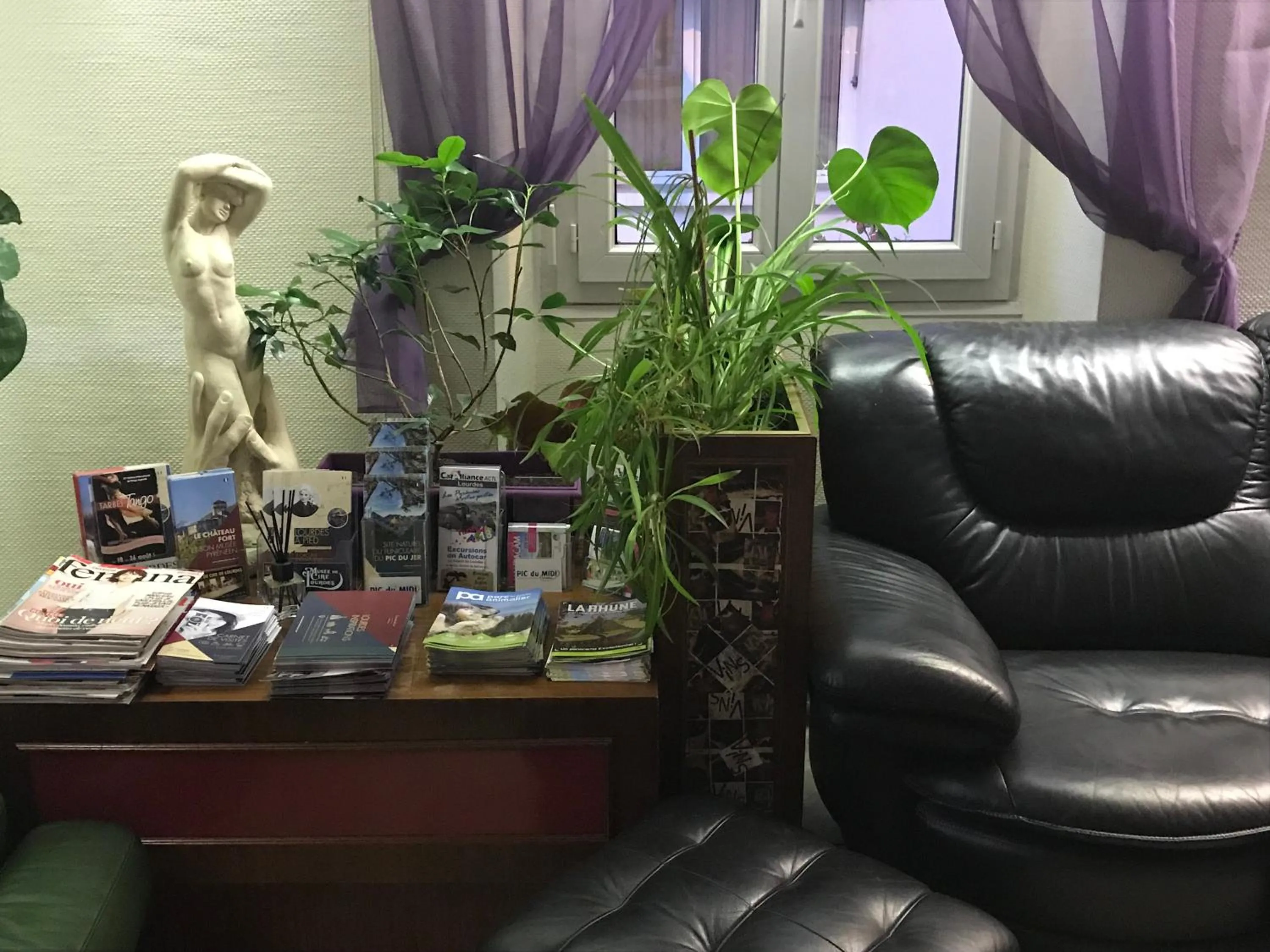 Communal lounge/ TV room in Hôtel Myosotis