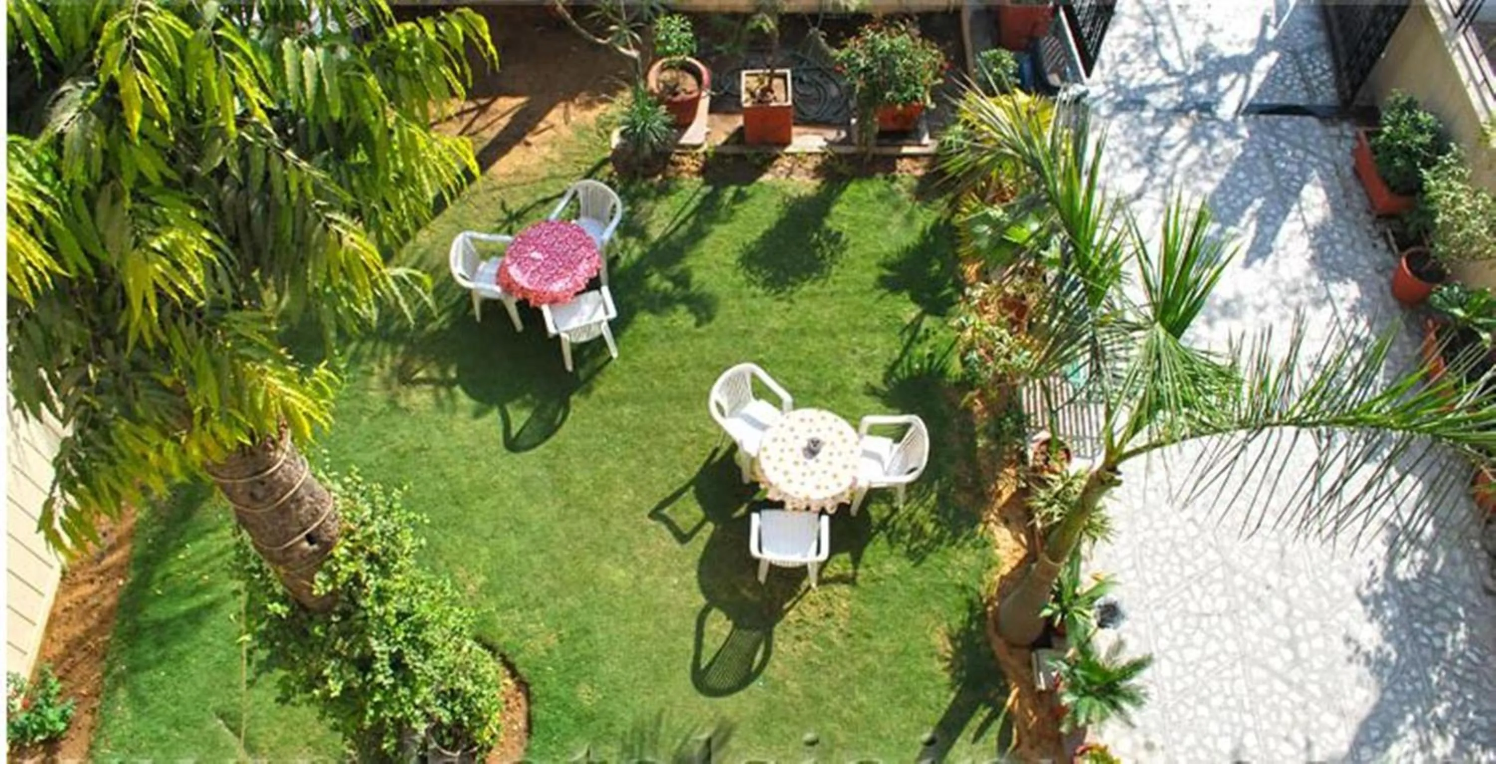 Garden in Hotel Bani Park Palace