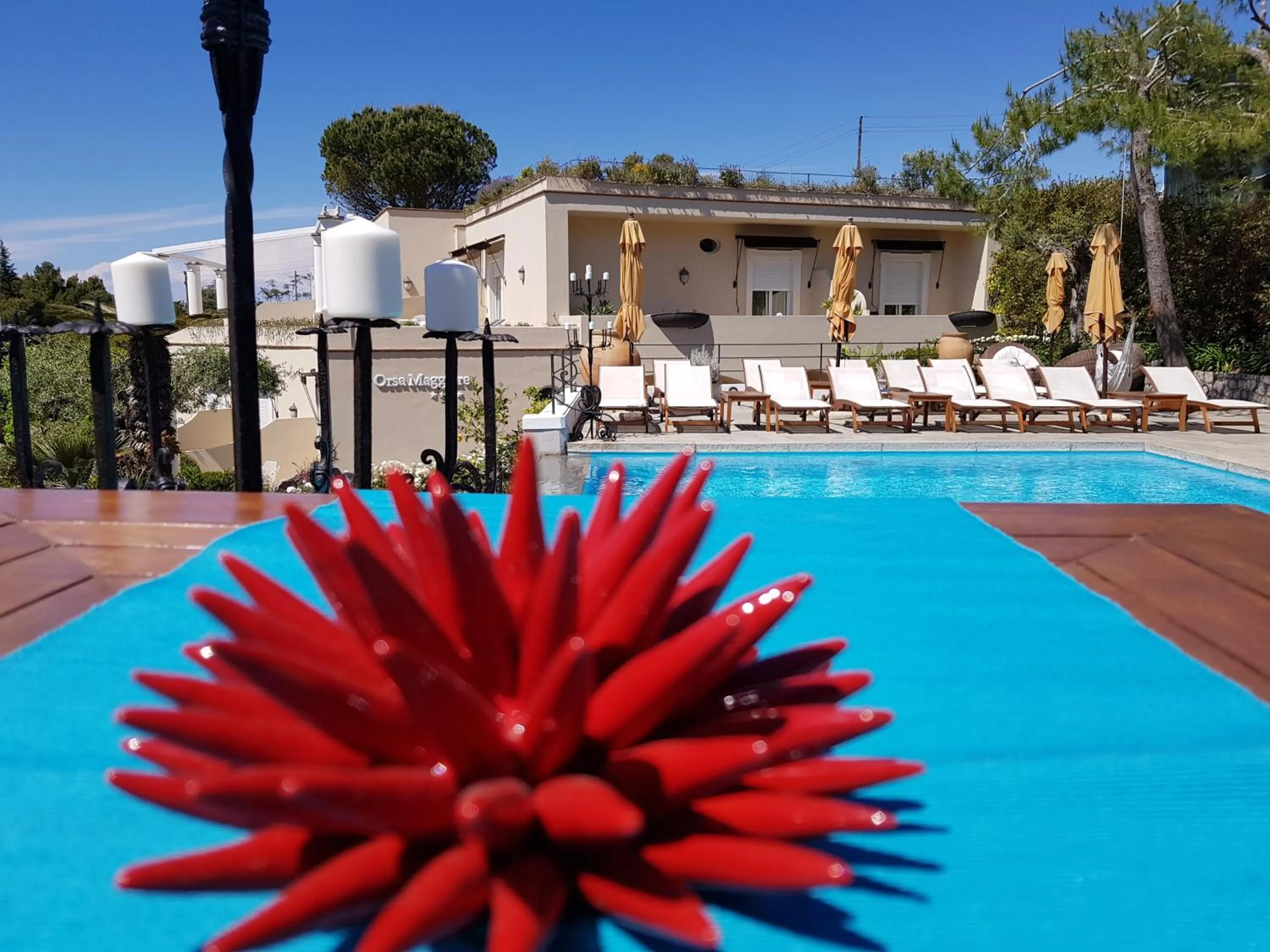 Pool view in Hotel Orsa Maggiore
