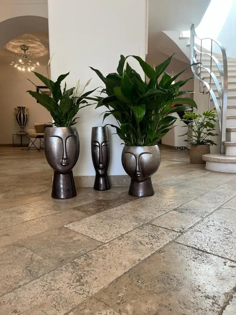 Restaurant/places to eat in Hotel Orsa Maggiore