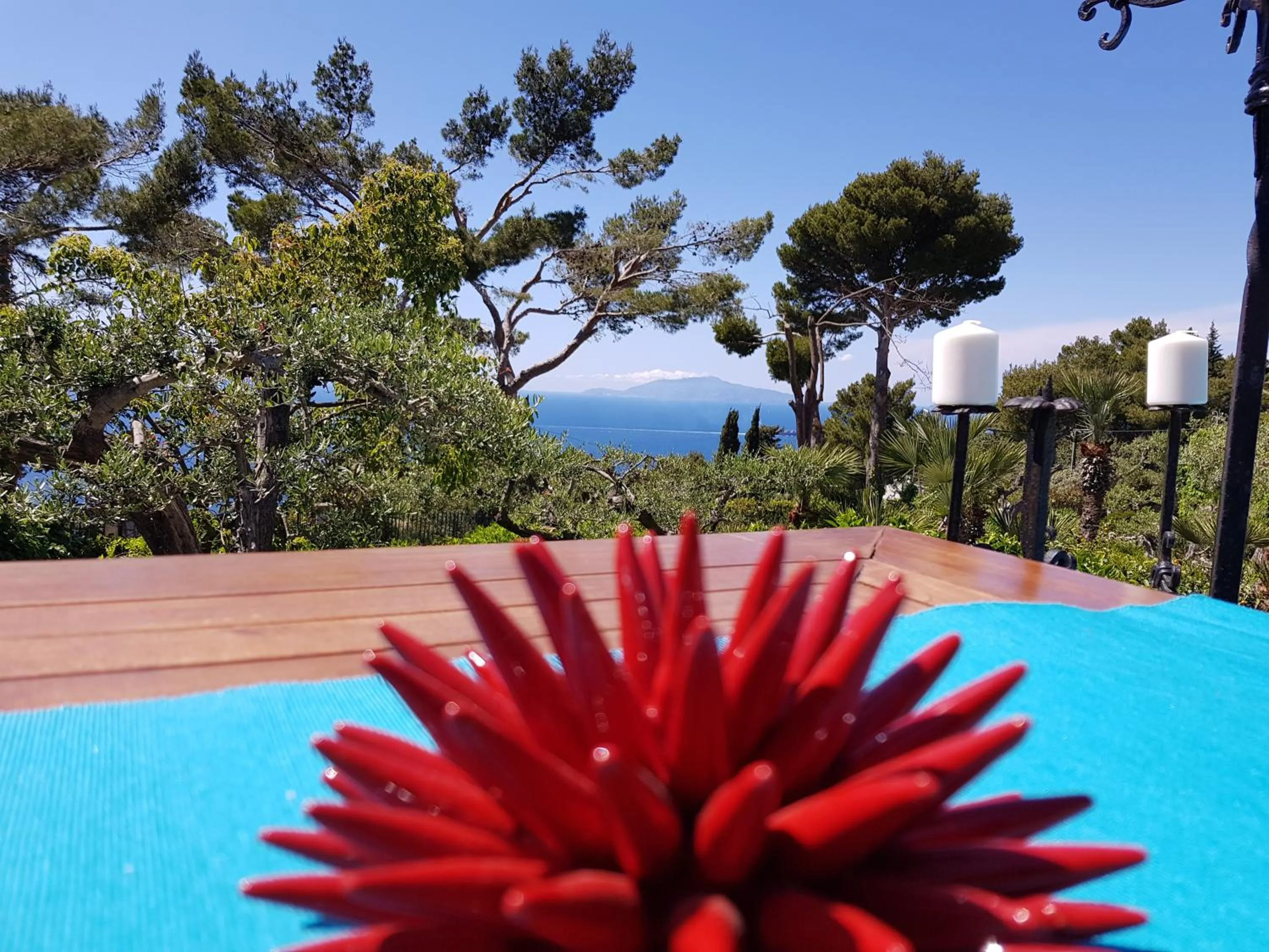 Pool view in Hotel Orsa Maggiore