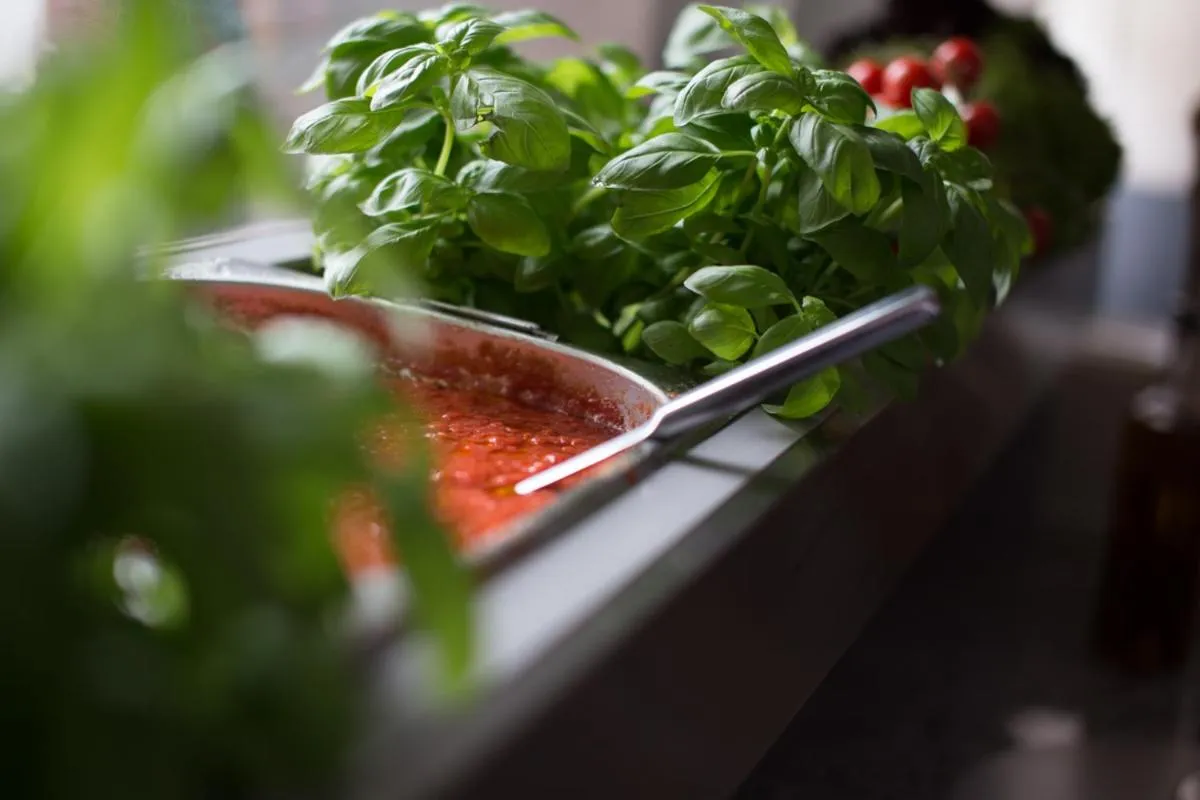 Breakfast in Glas-Hotel 4*