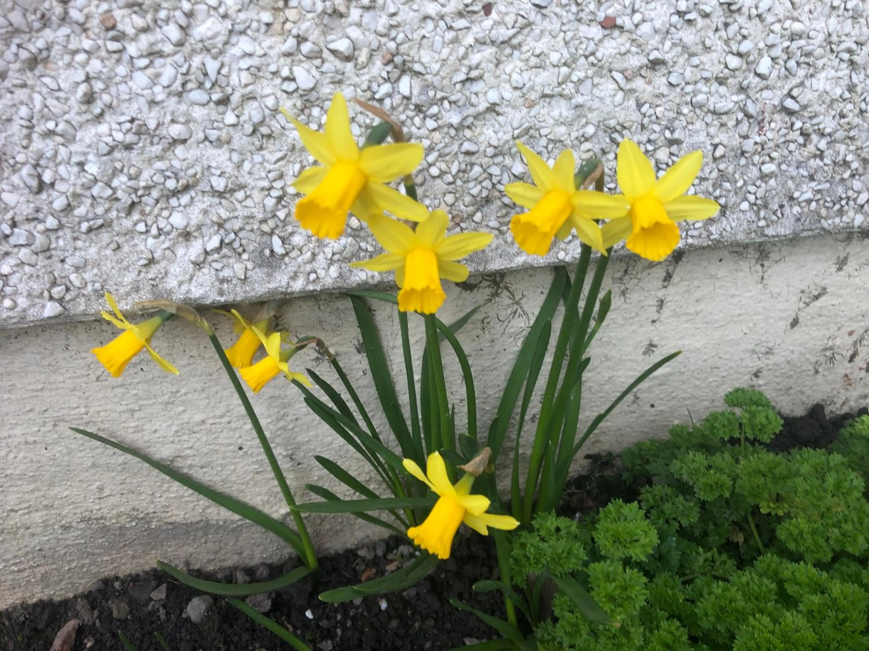 Property building in Fairview Bed and Breakfast