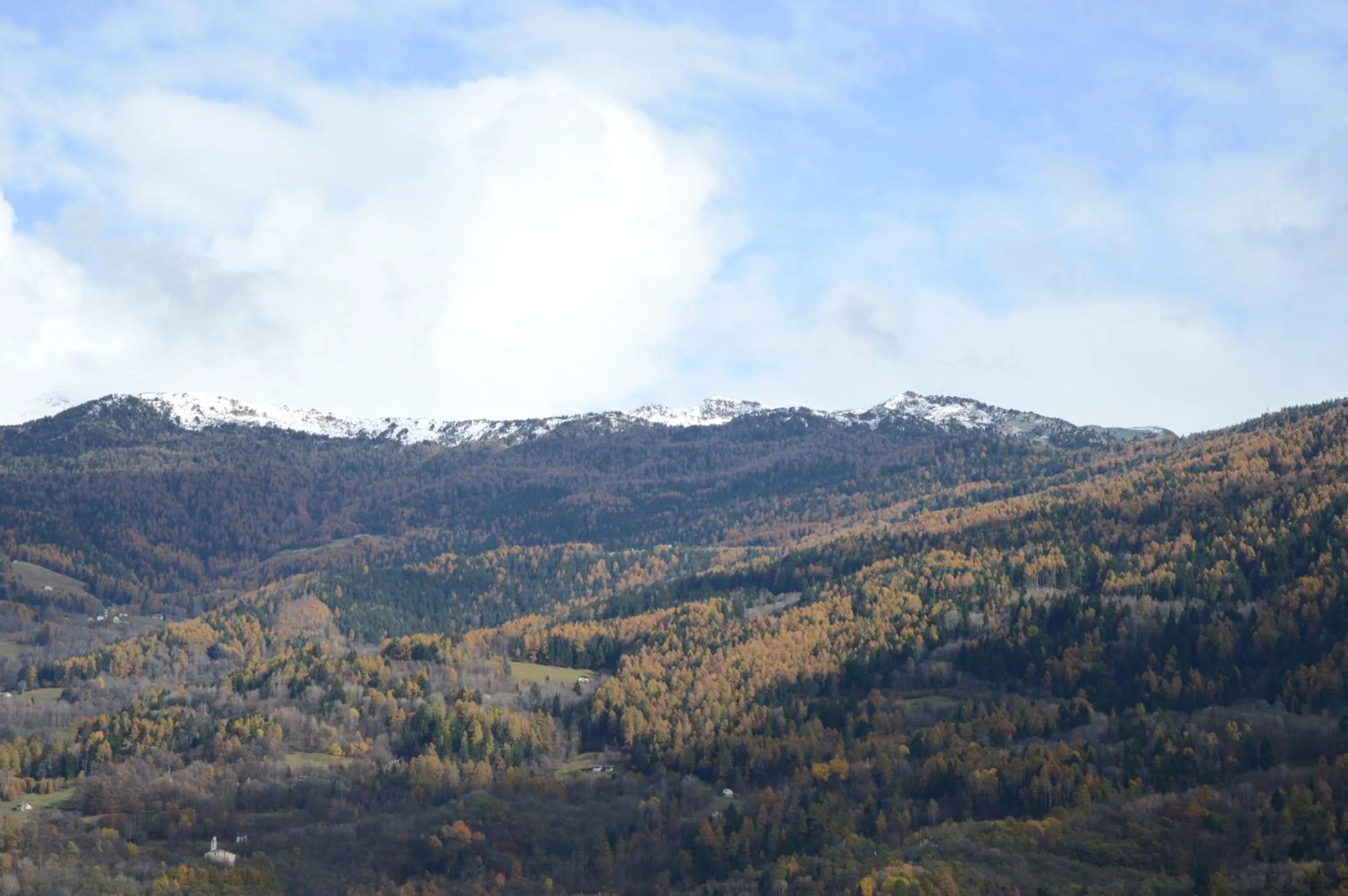 Area and facilities in Hotel Loredana