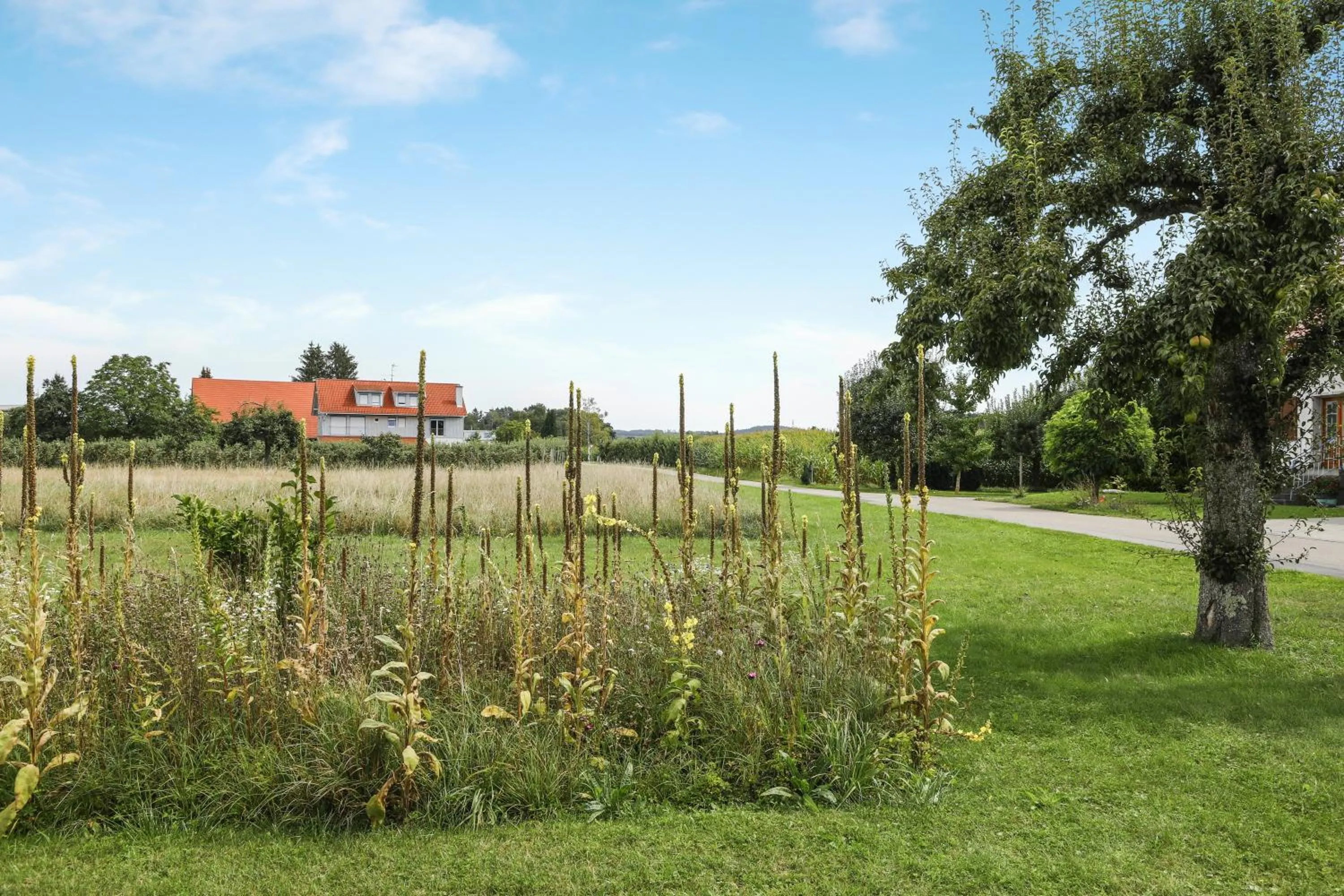 Property building in Ferienwohnung Eberle