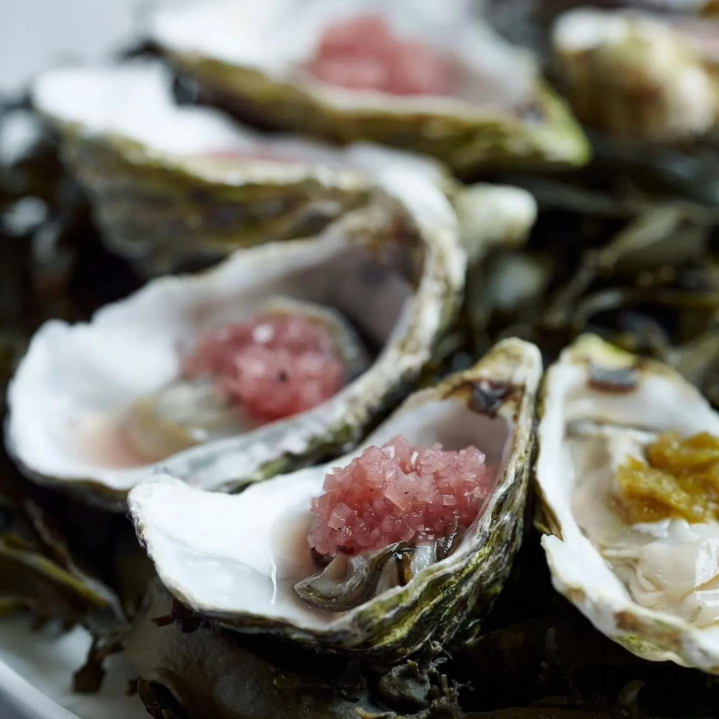 Balcony/Terrace in Fischers Baslow Hall - Chatsworth