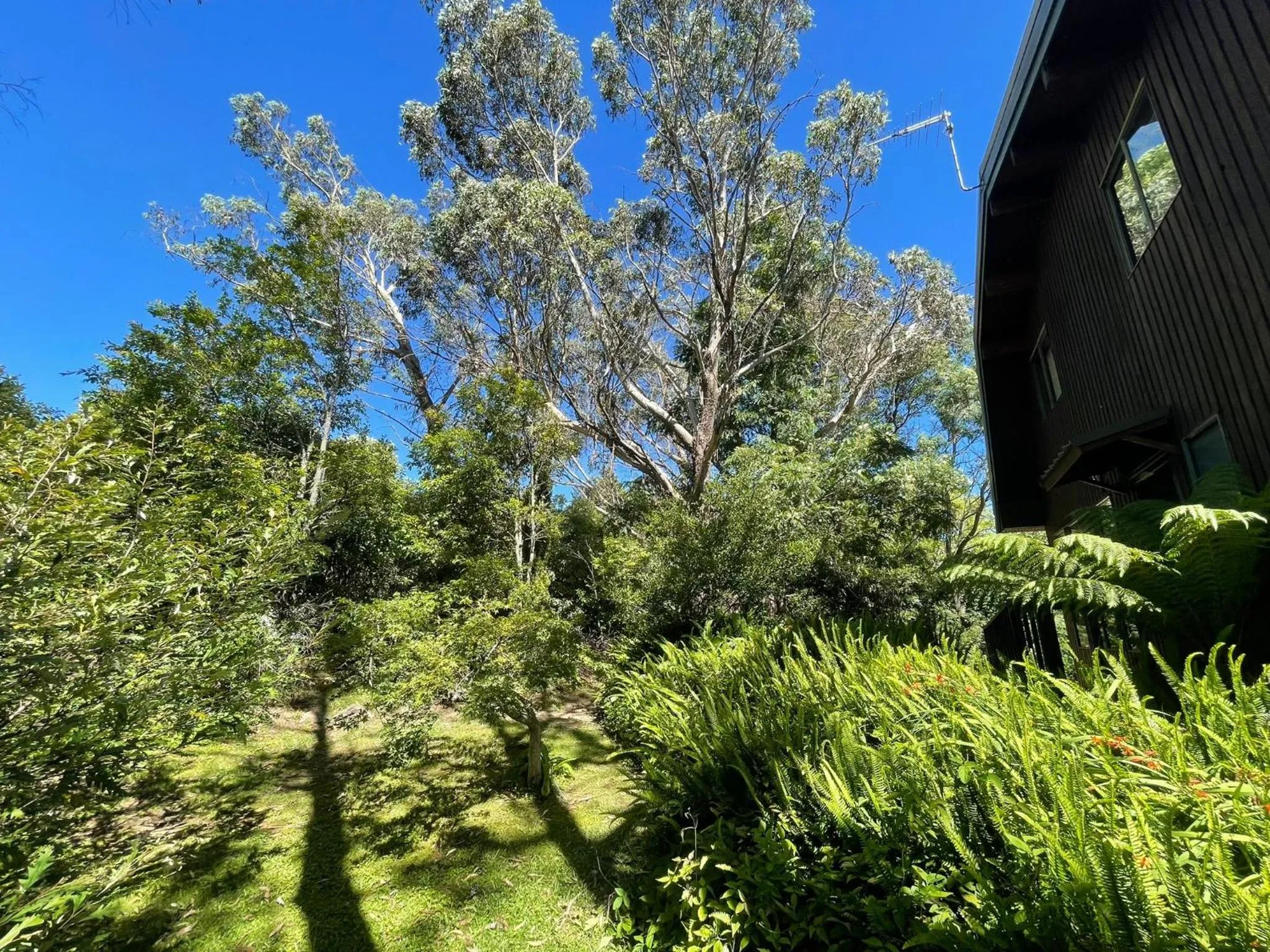 Sublime Cedar Lodge Leura