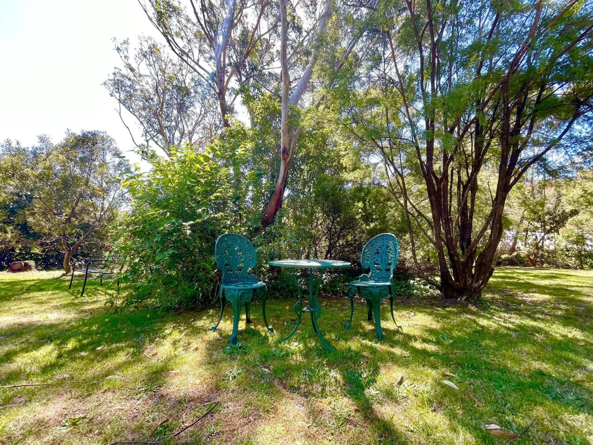 Sublime Cedar Lodge Leura