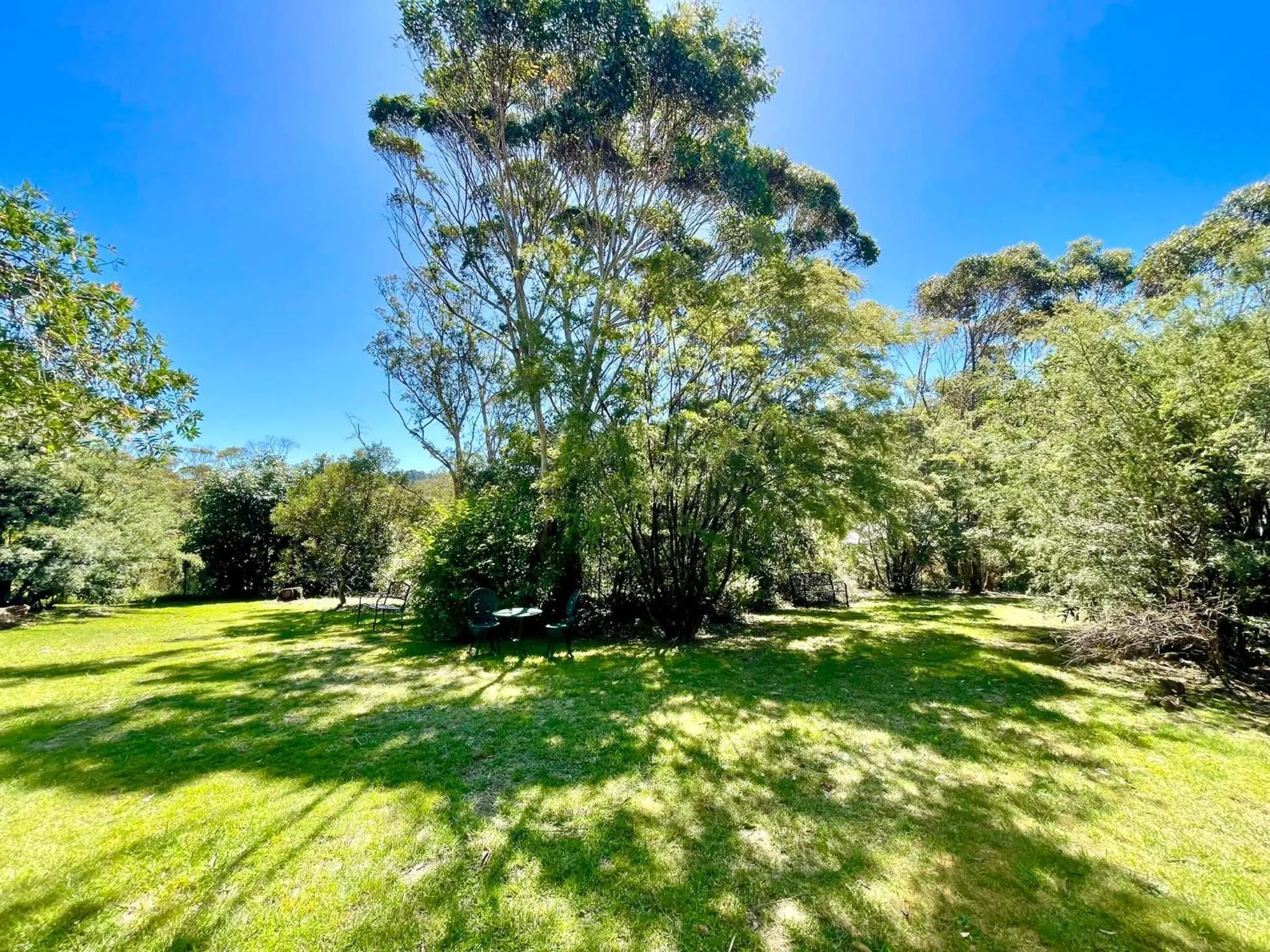 Sublime Cedar Lodge Leura