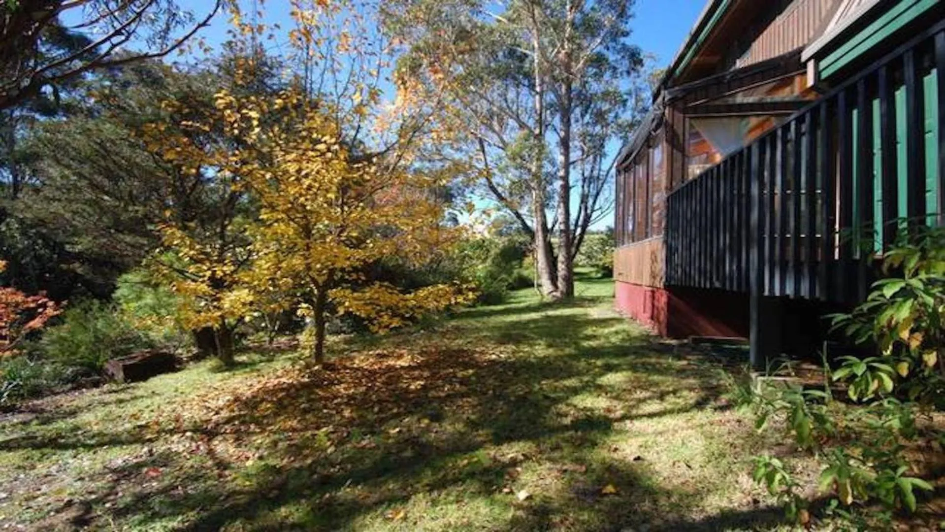 Garden view in Sublime Cedar Lodge Leura