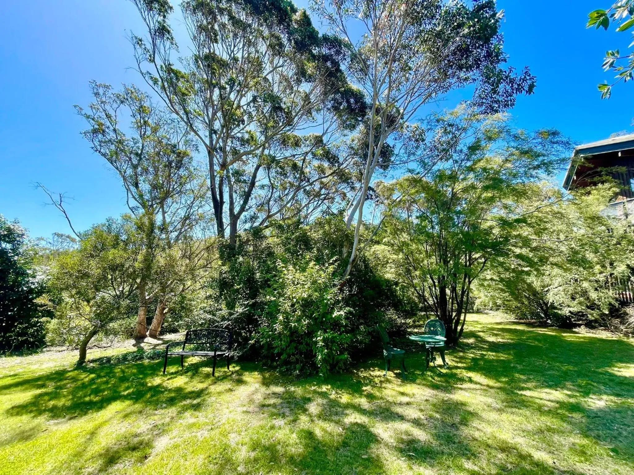 Sublime Cedar Lodge Leura