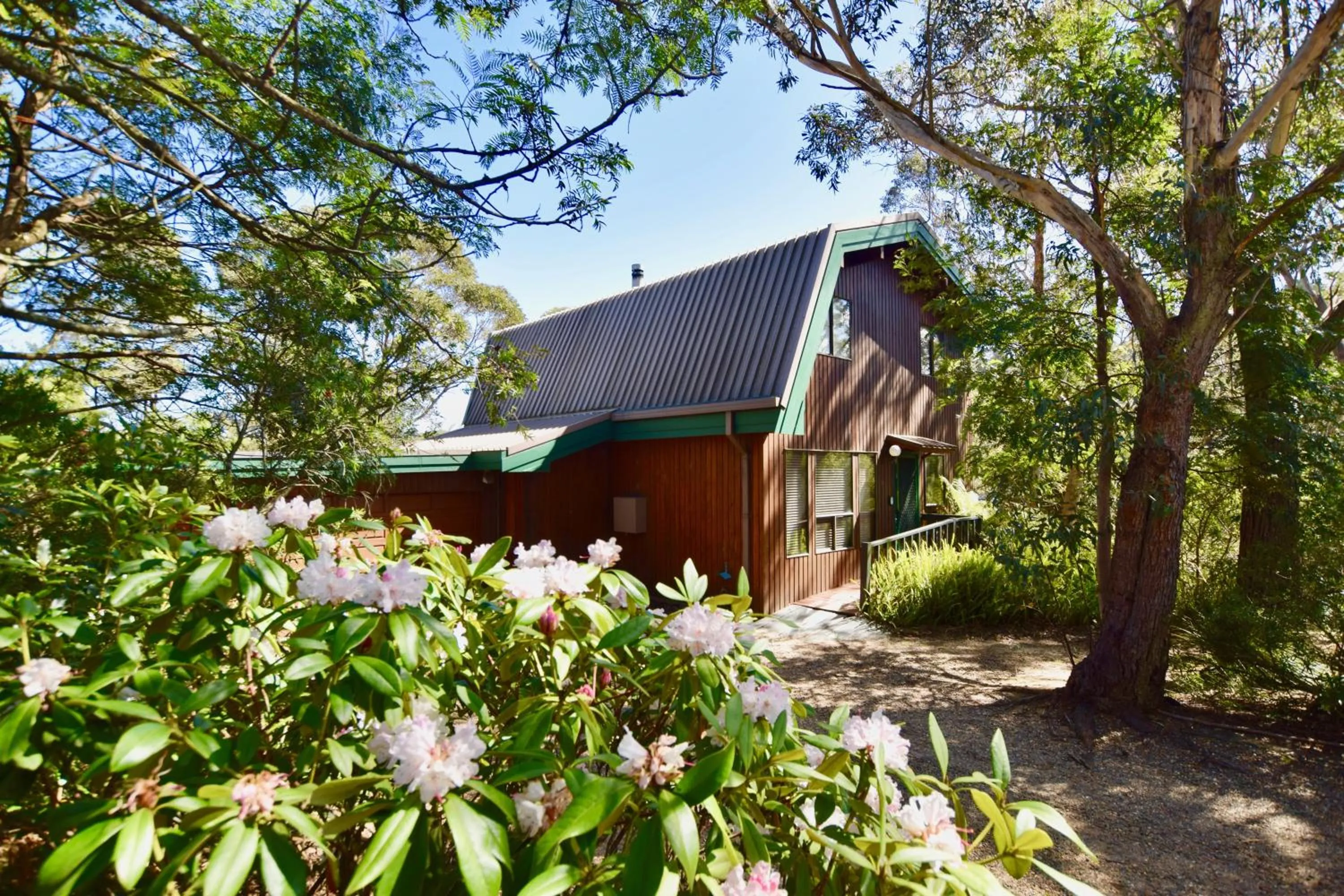 Sublime Cedar Lodge Leura