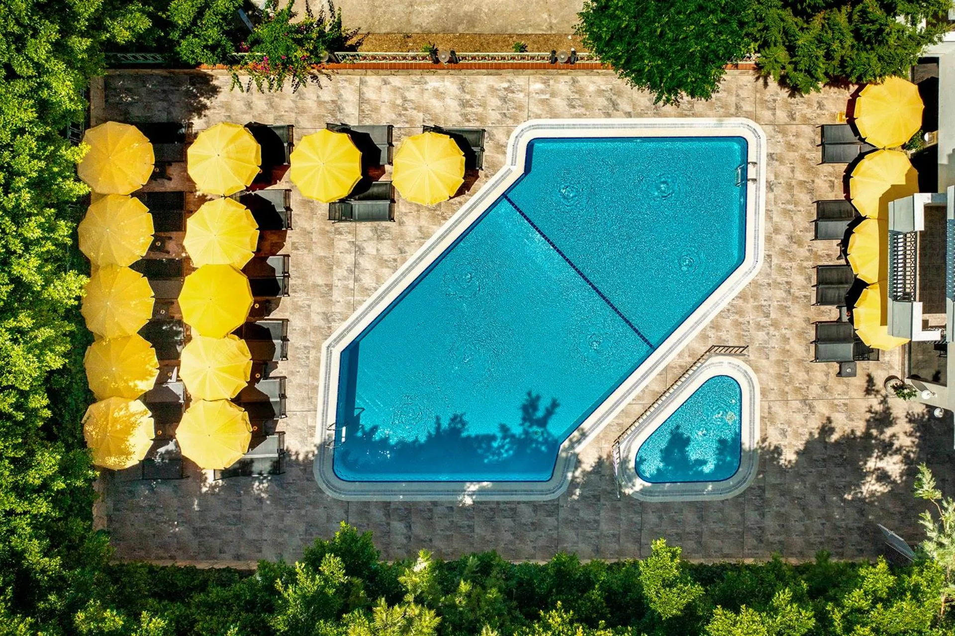 Swimming pool in Villa Sunflower Hotel - All Inclusive