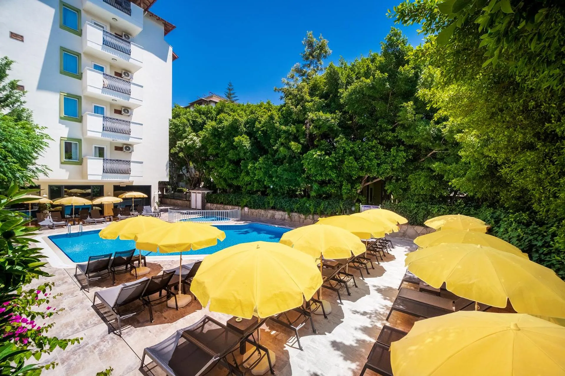 Swimming pool in Villa Sunflower Hotel - All Inclusive