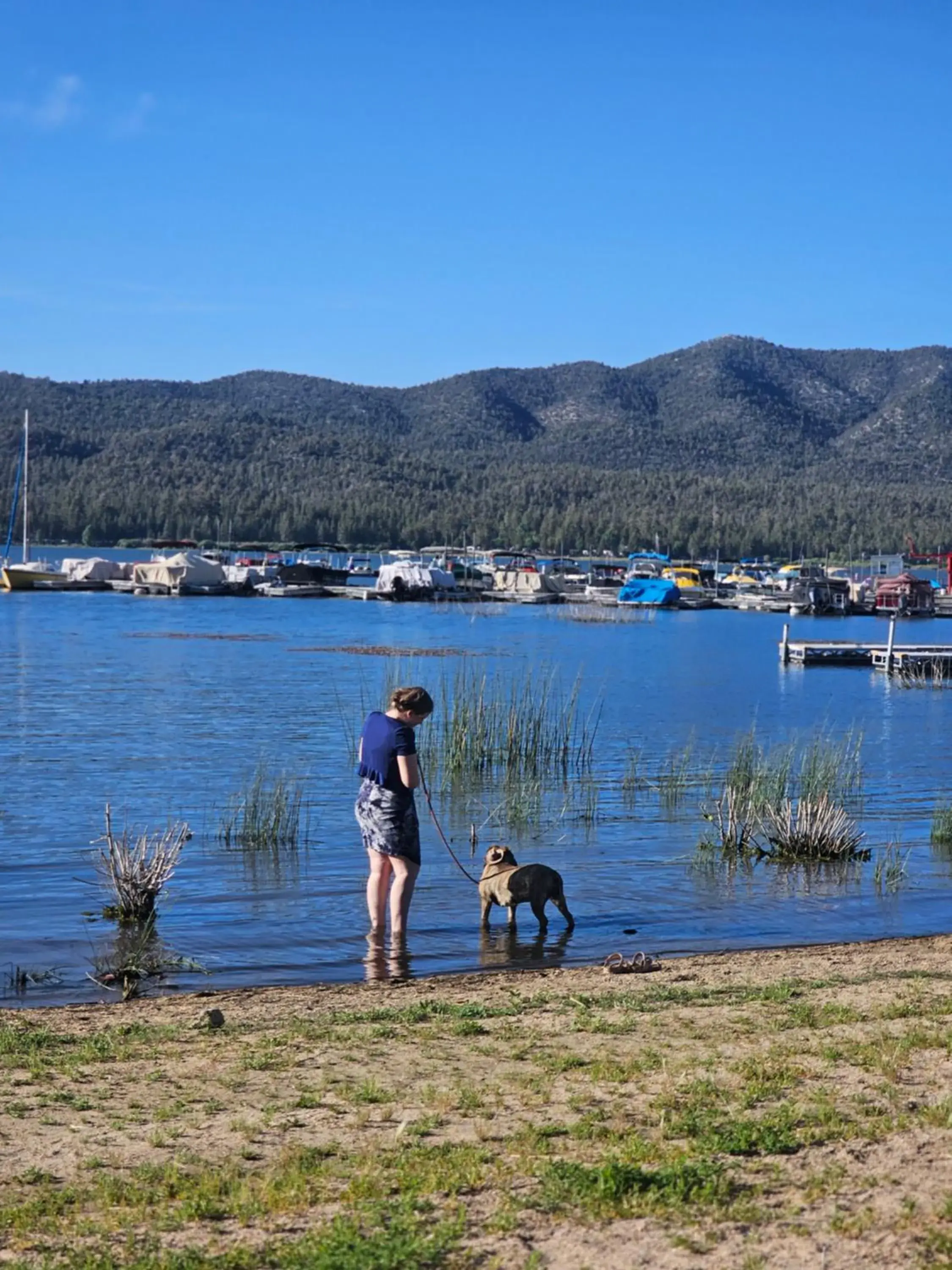 Lake view in Big Bear Frontier Lake view in Big Bear Frontier