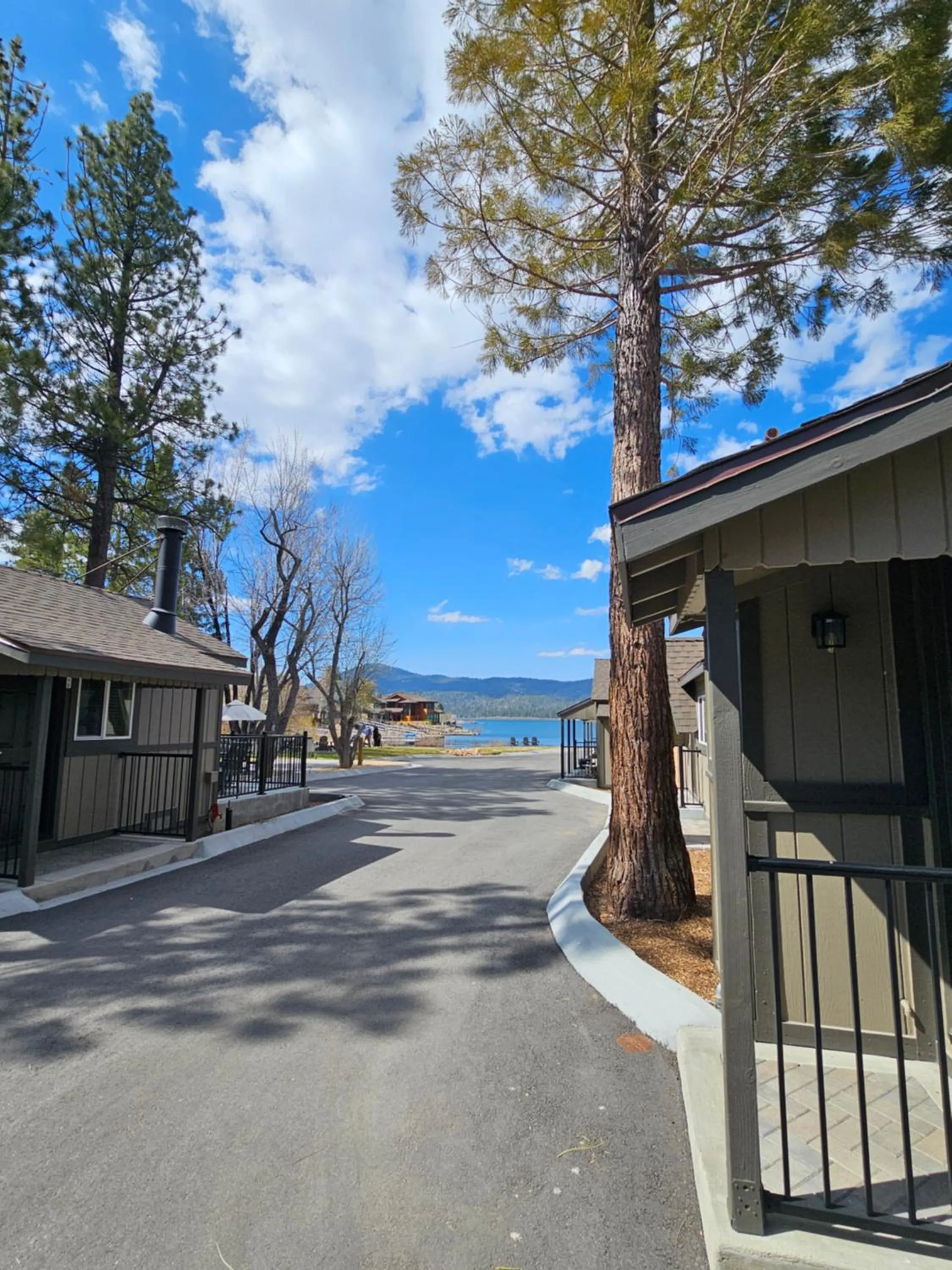 View (from property/room) in Big Bear Frontier