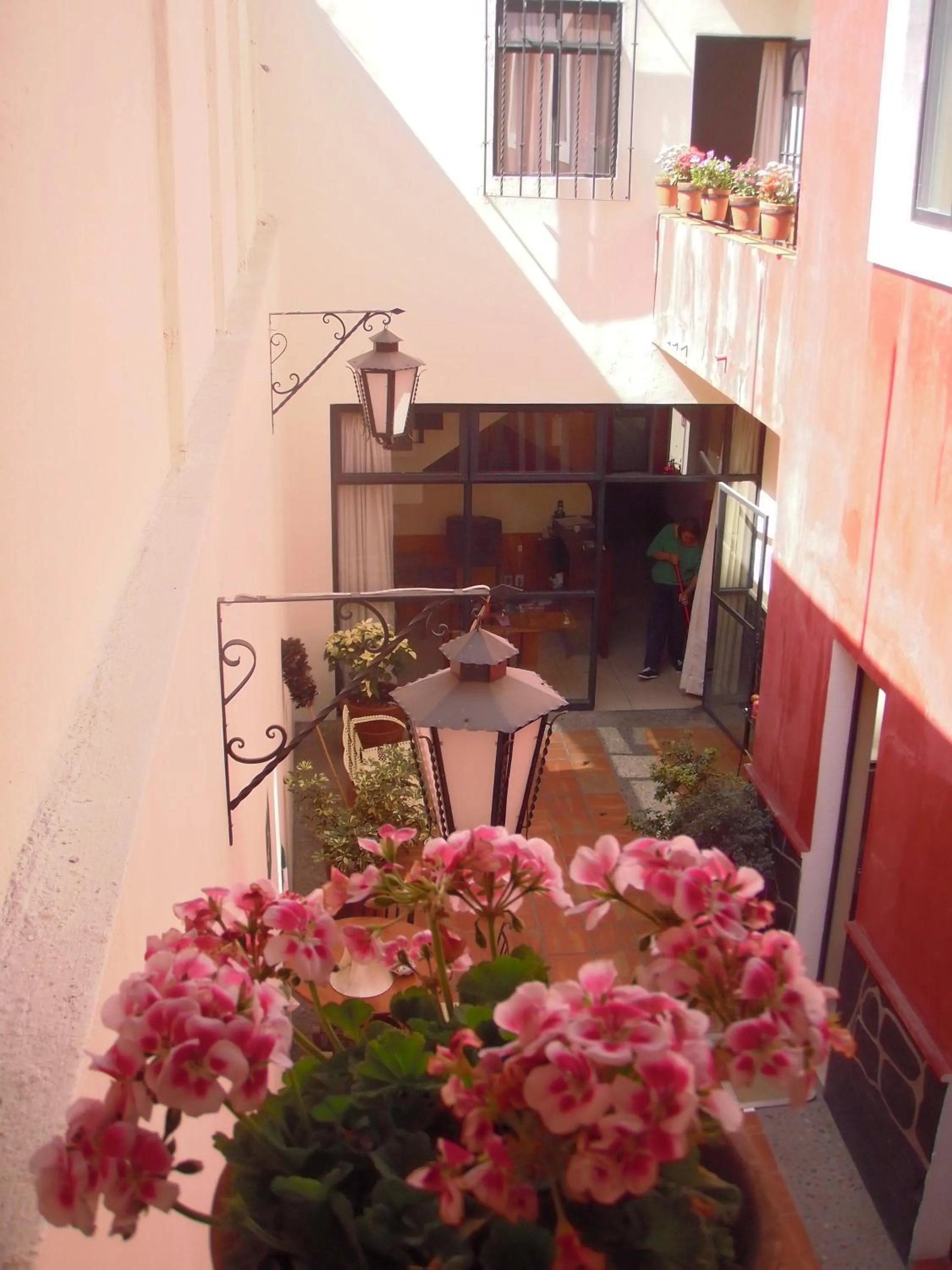 Olga Querida B&B Hostal